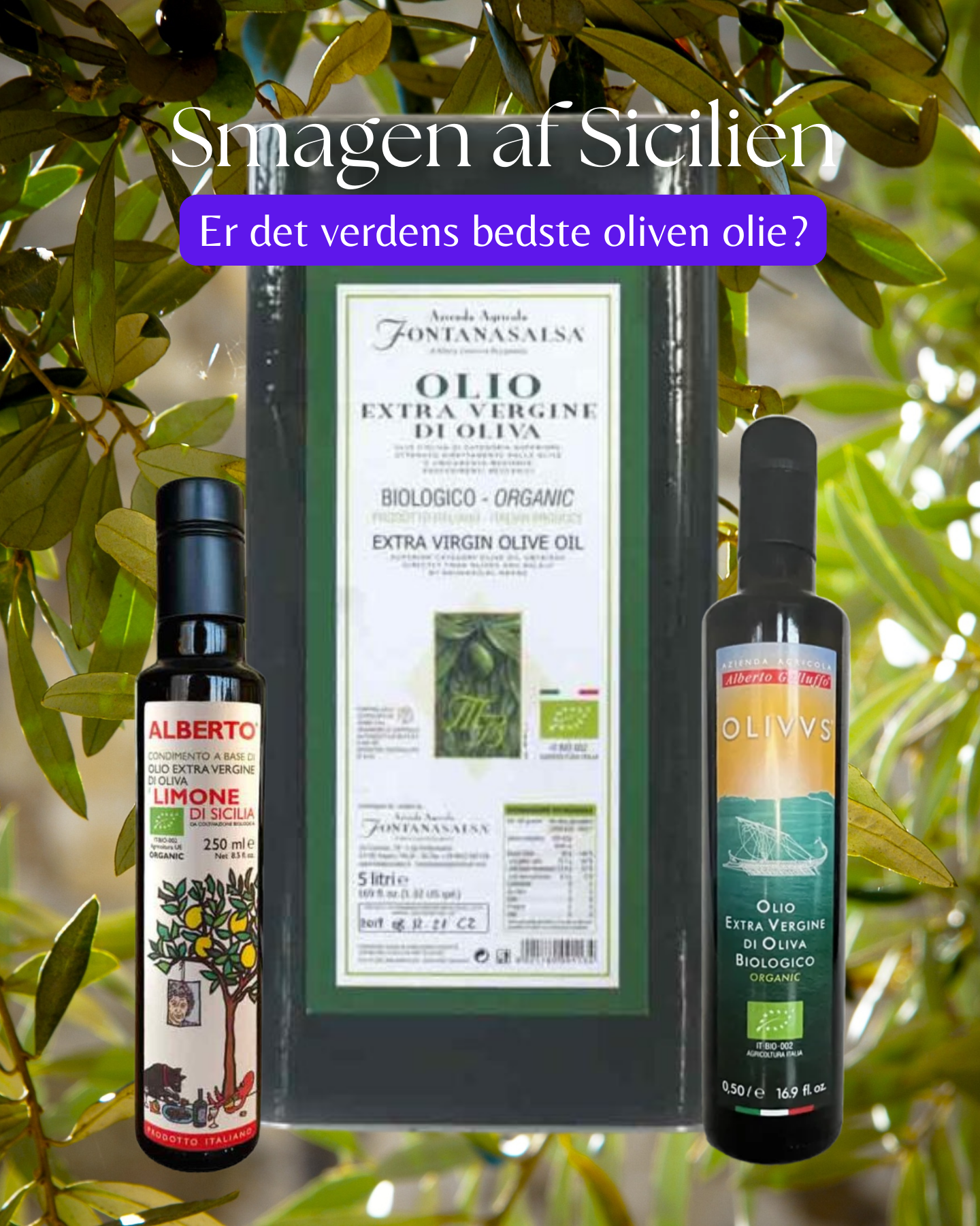 Sikani - Smagen af Sicilien Facebook ad from Sep 11, 2025