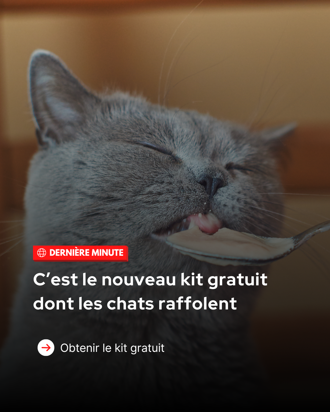 Caats Facebook ad