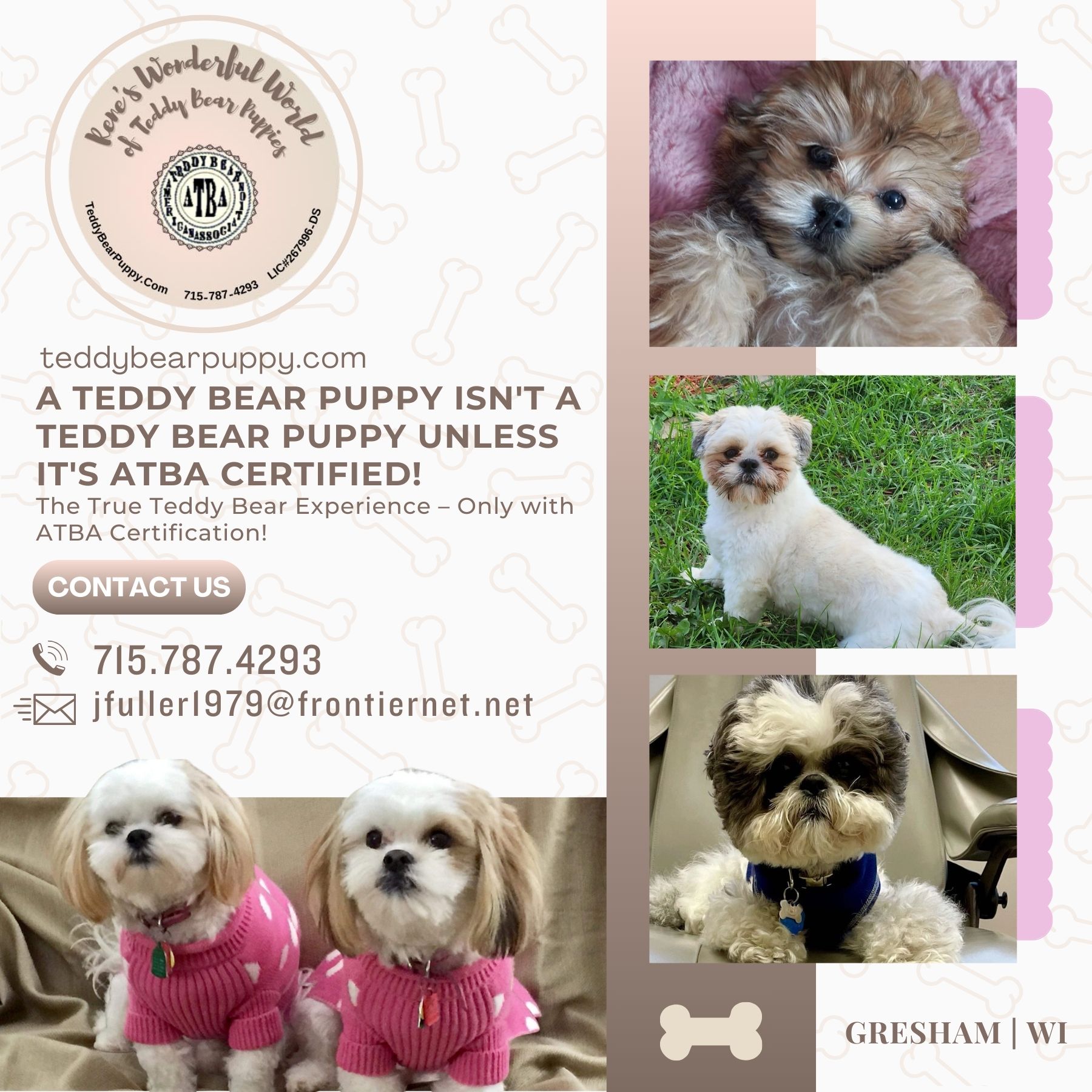 Rene's Wonderful World of Teddy Bears Facebook ad: Rene’s Wonderful World of Teddy Bear Puppies