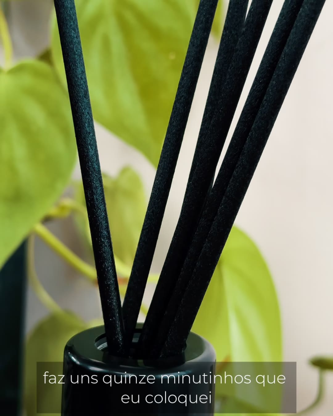Velaroma Store Facebook ad: Até 20% de desconto no site
