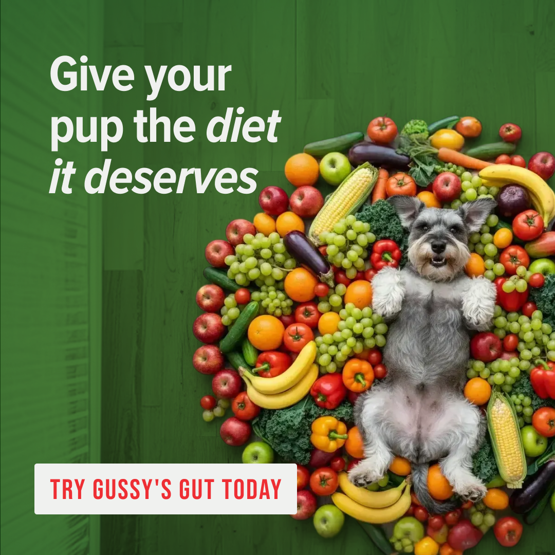 Gussys Gut Facebook ad