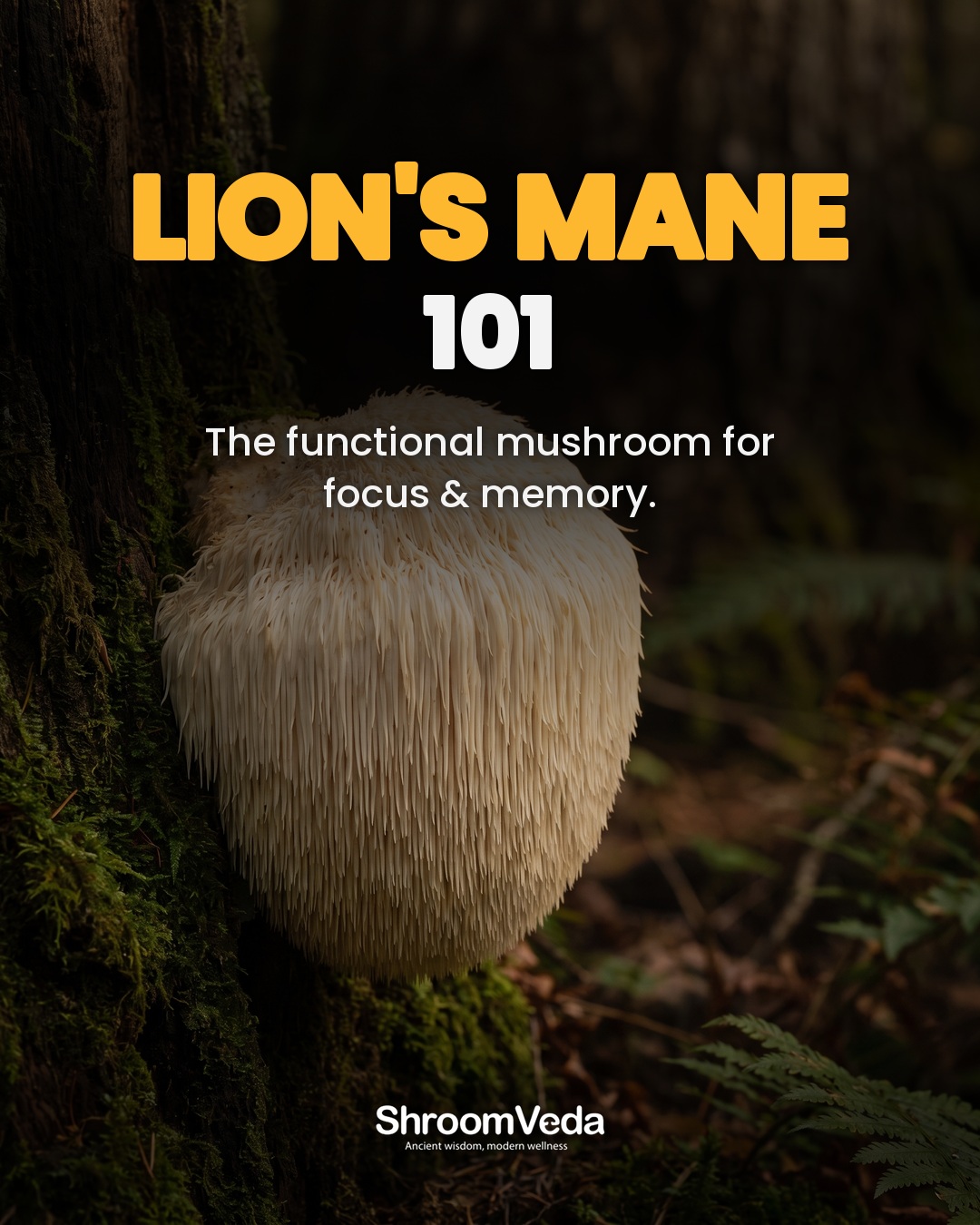 ShroomVeda Facebook ad: The monks called it yamabushitake.