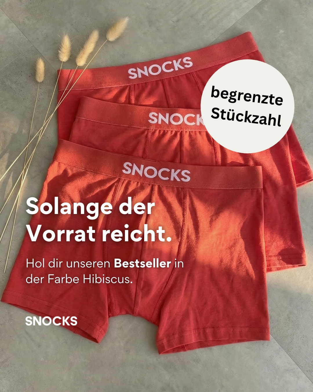 Snocks Facebook ad