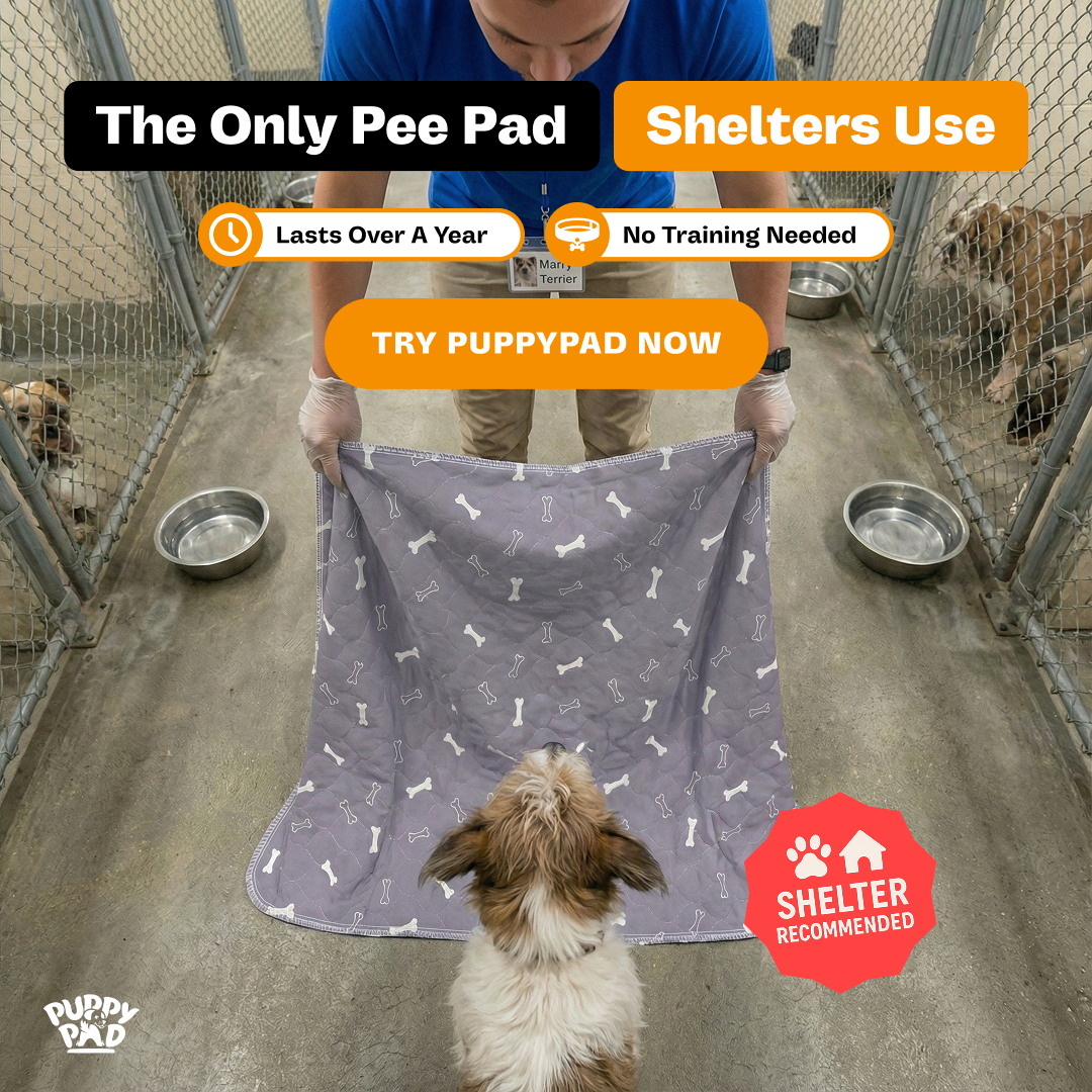 PuppyPad Facebook ad