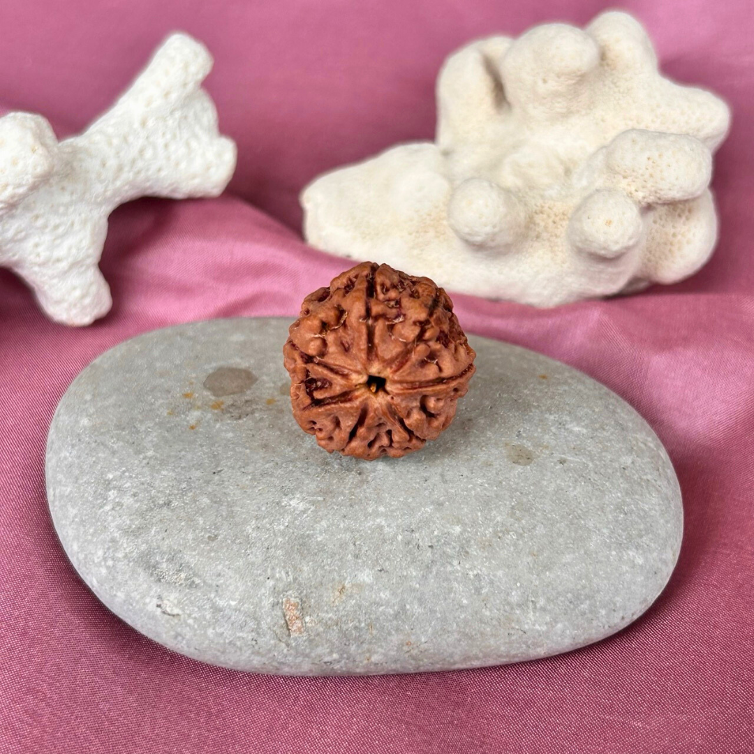 Kailasha Rudraksh Facebook ad: Discover authentic, lab-certified Rudraksha beads & malas…