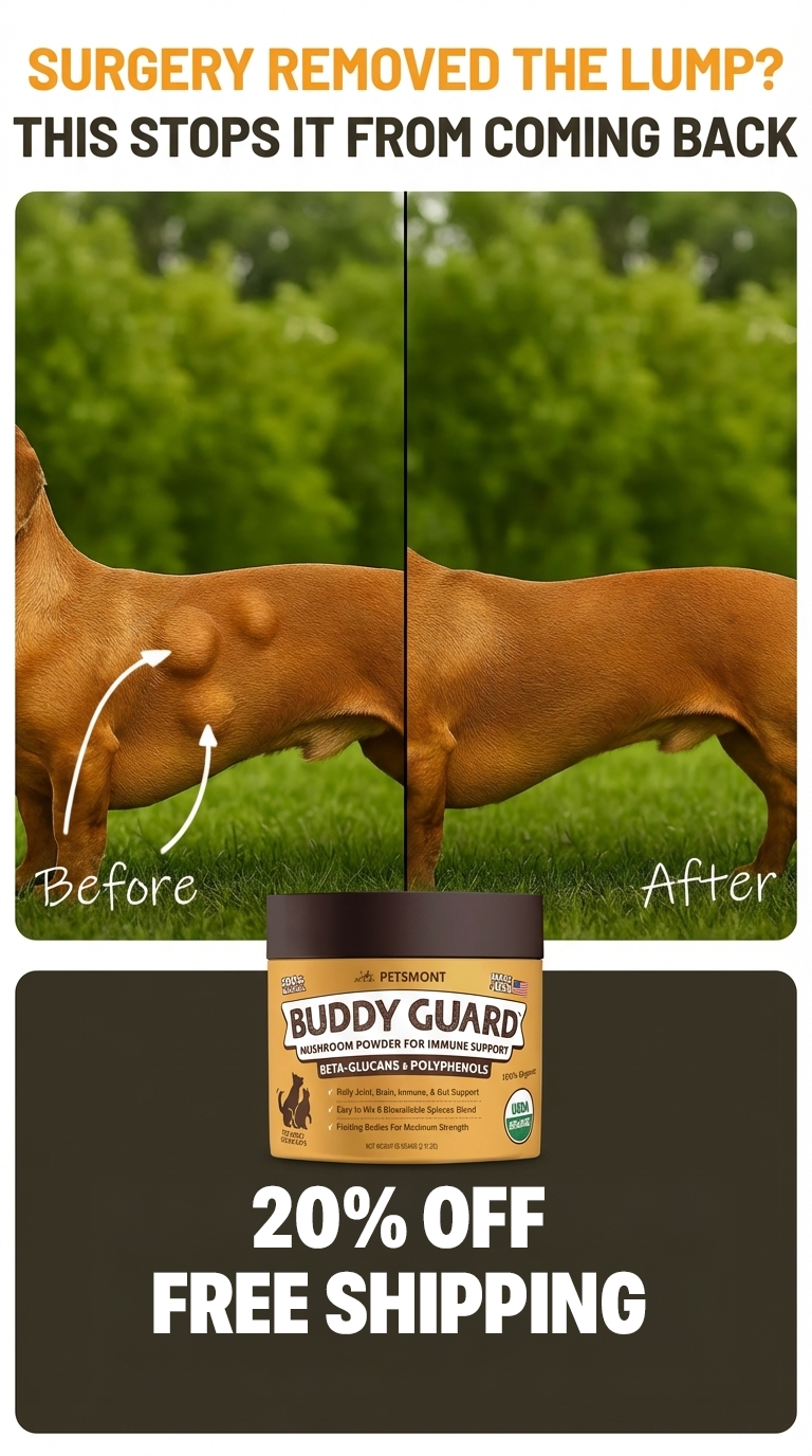 Petsmont Facebook ad