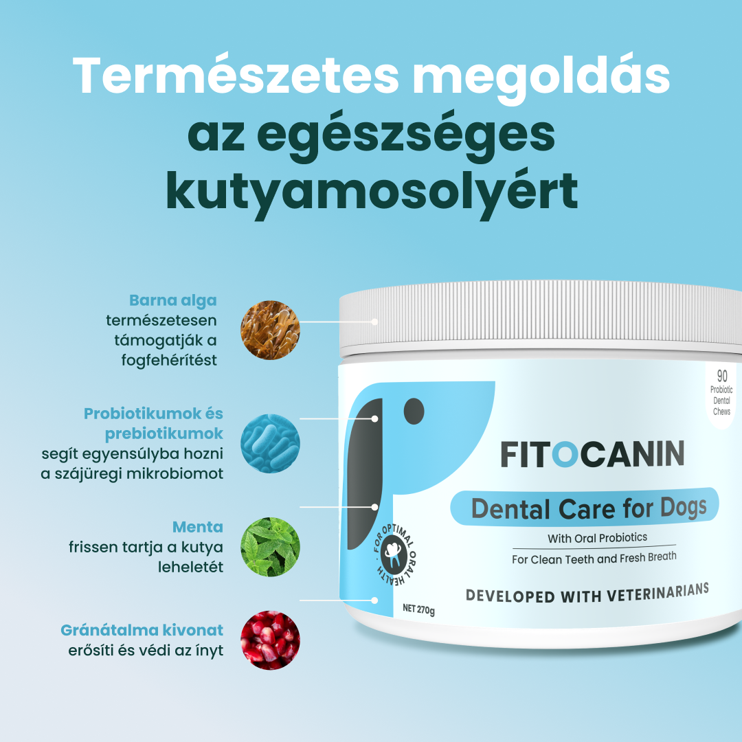 Vivocanin Facebook ad