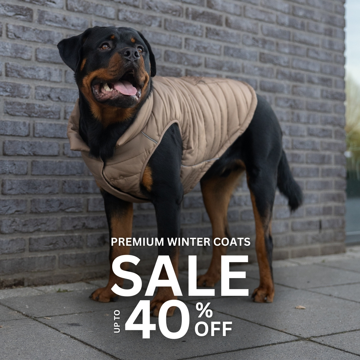 Spark Paws Facebook ad