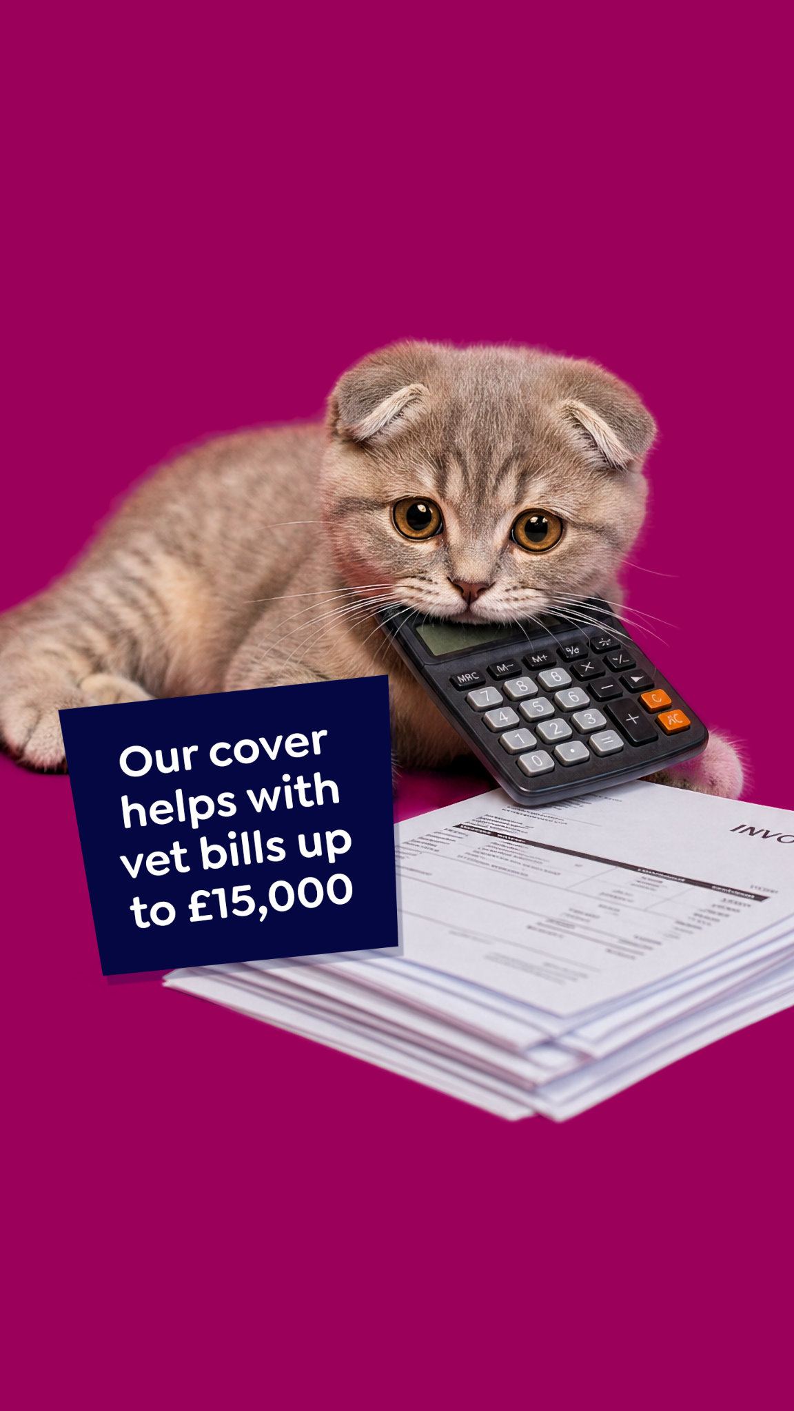Petgevity UK Facebook ad