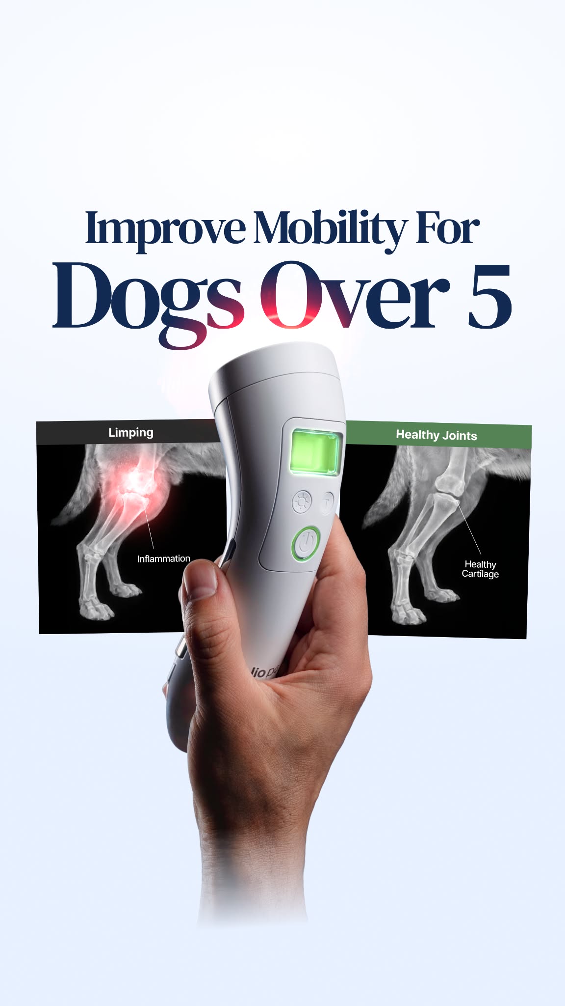 Helio Pet Facebook ad