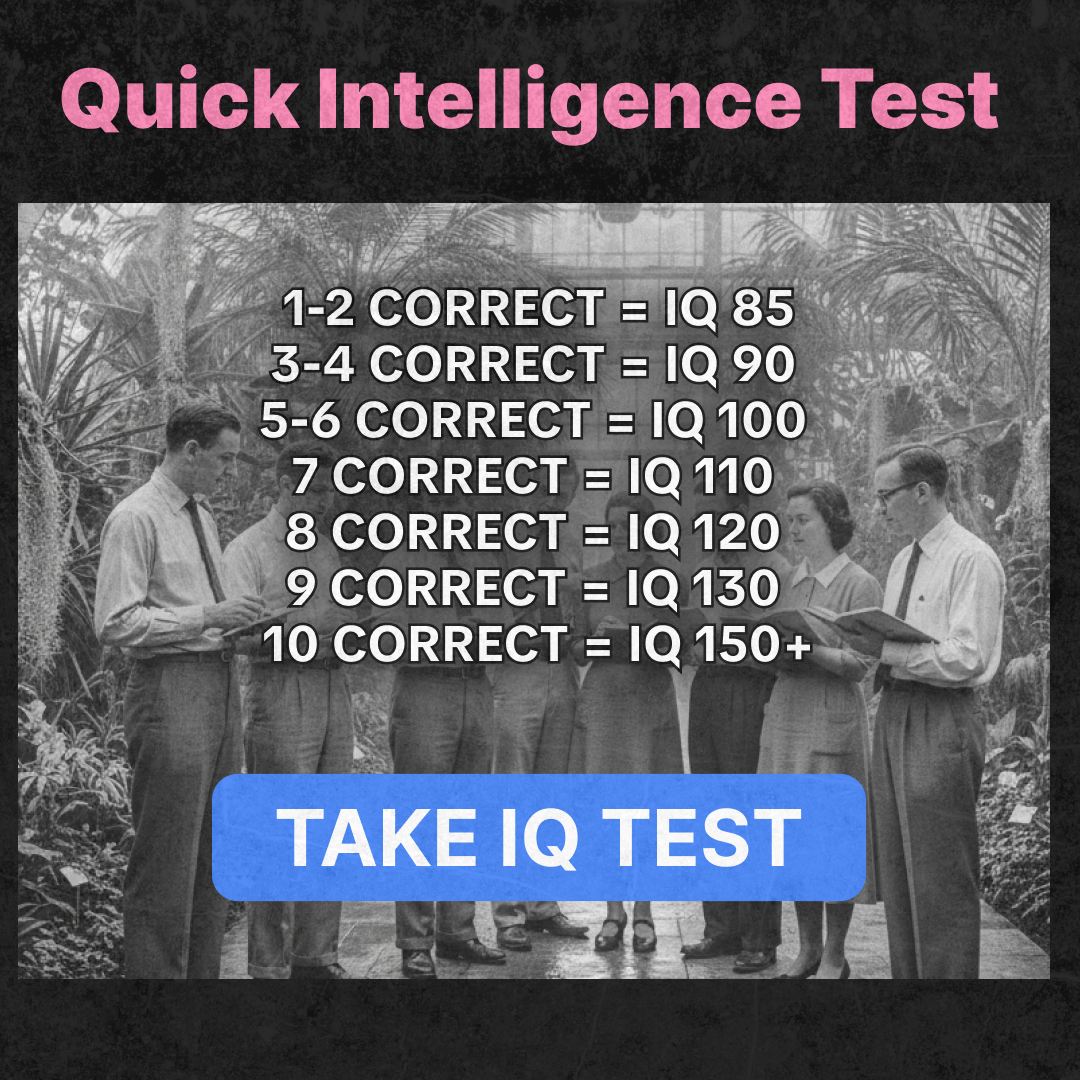 My IQ Facebook ad