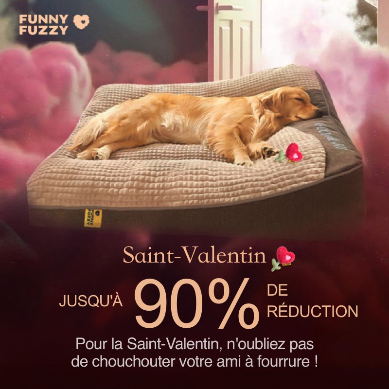 FUNNYFUZZY Facebook ad