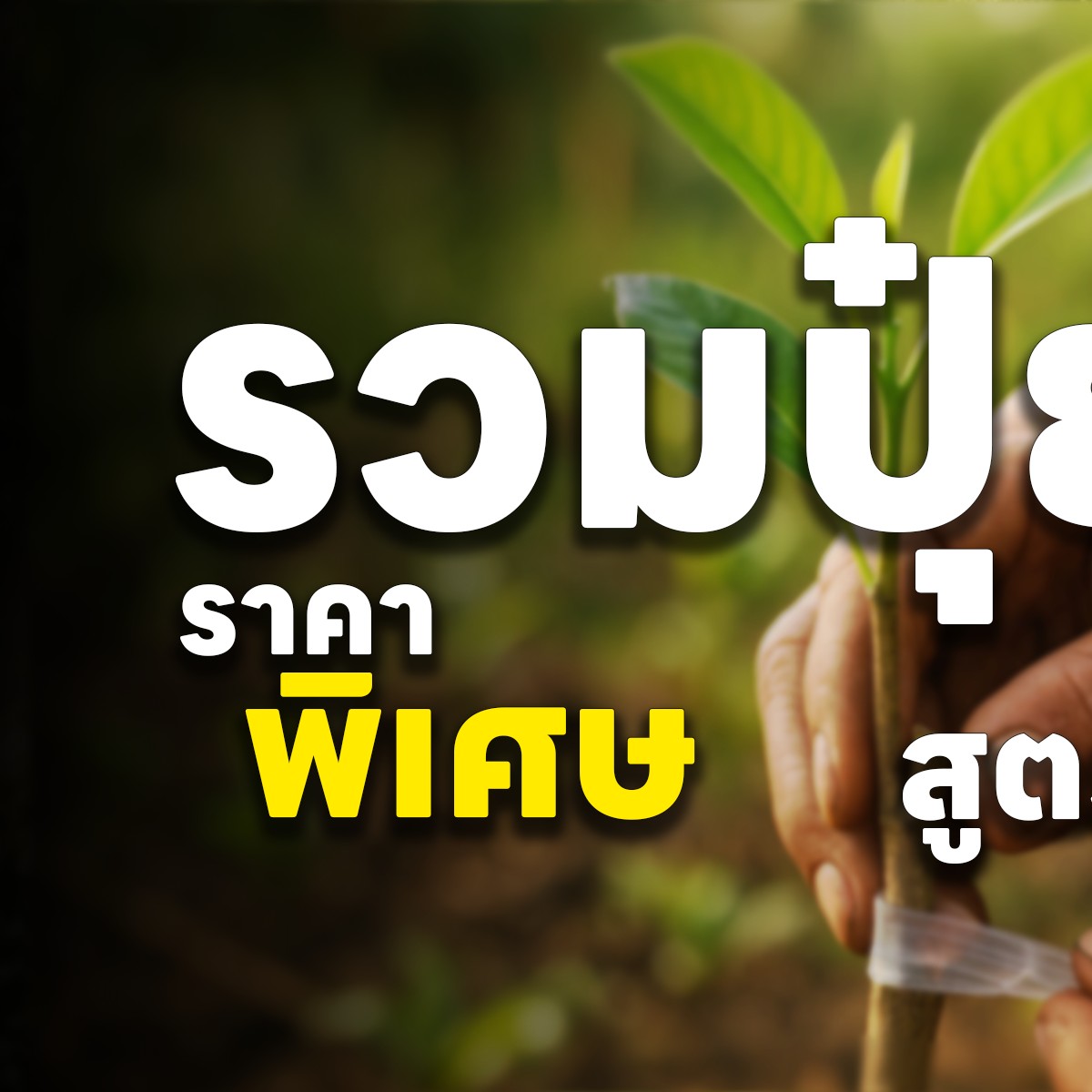 สถาณีเกษตรออนไลน์ Facebook ad