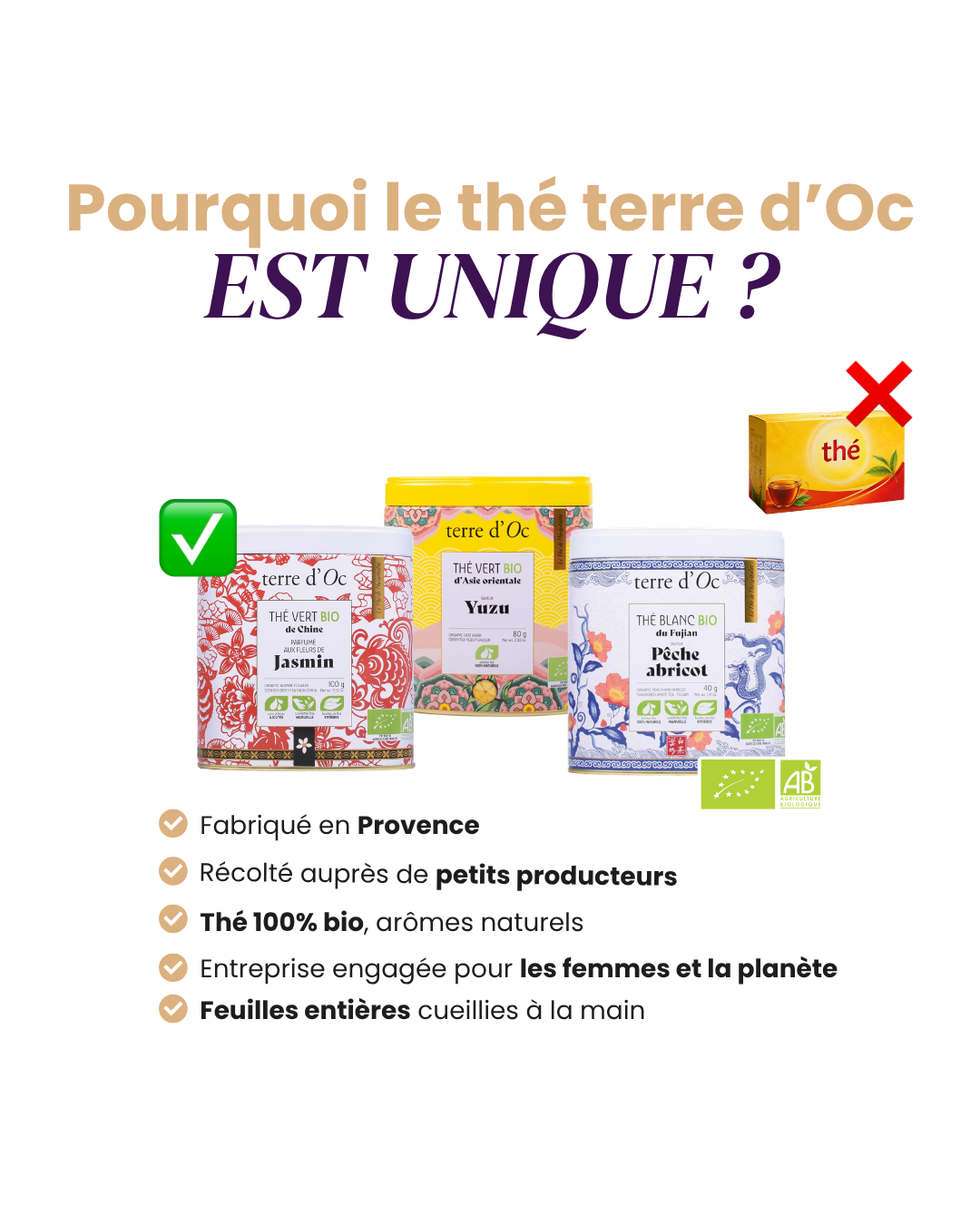 terre d'Oc Facebook ad