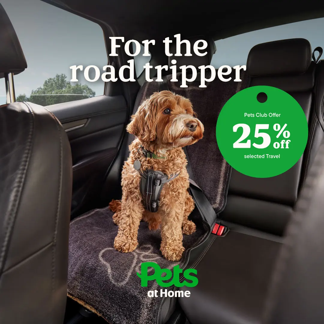 Pets UK Facebook ad