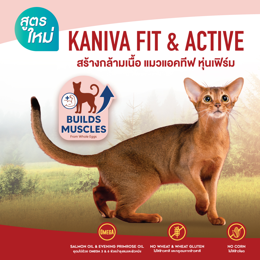 Kaniva Pet Food Facebook ad: ใหม่! อาหารแมวคานิว่าสูตร Fit & Active