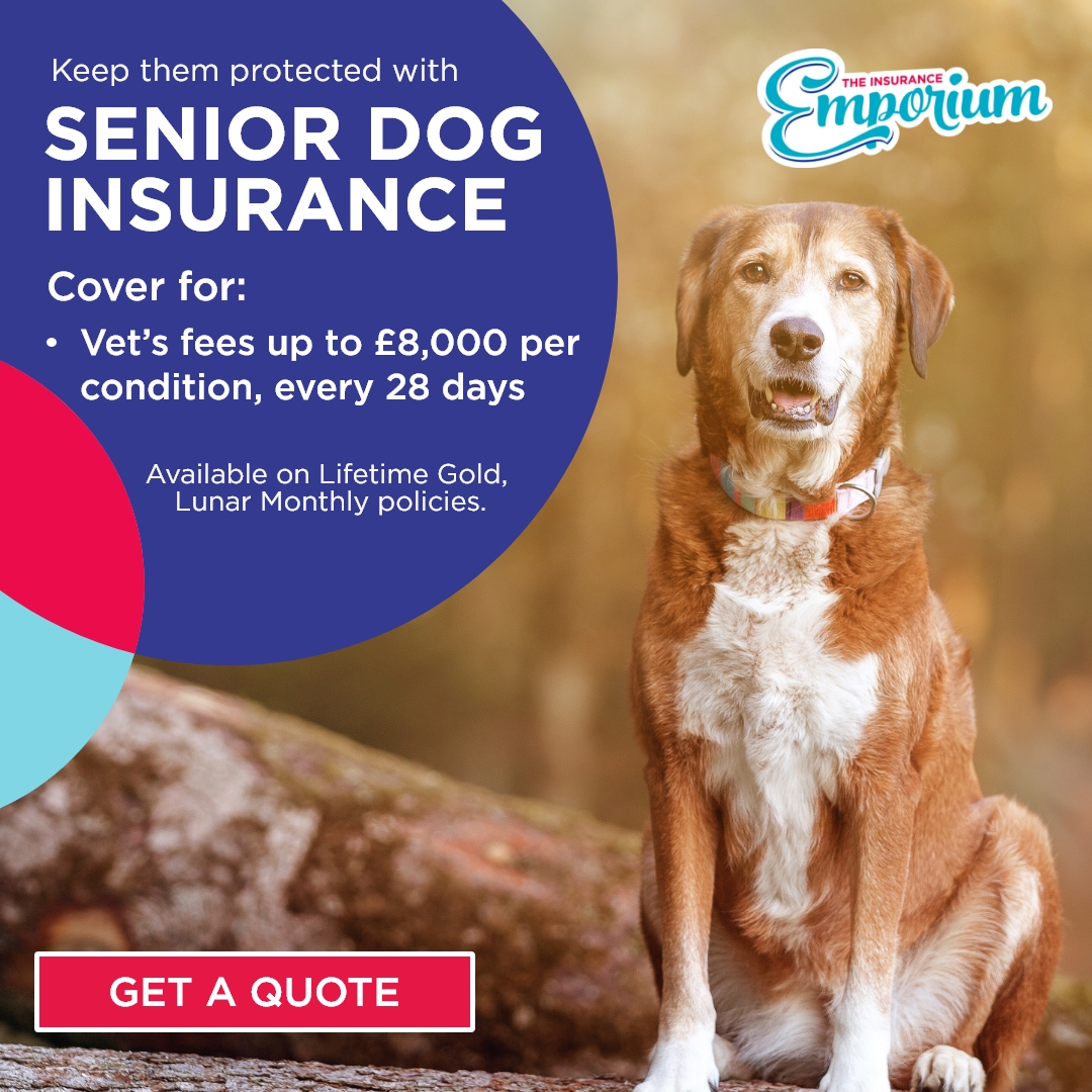 The Insurance Emporium Facebook ad