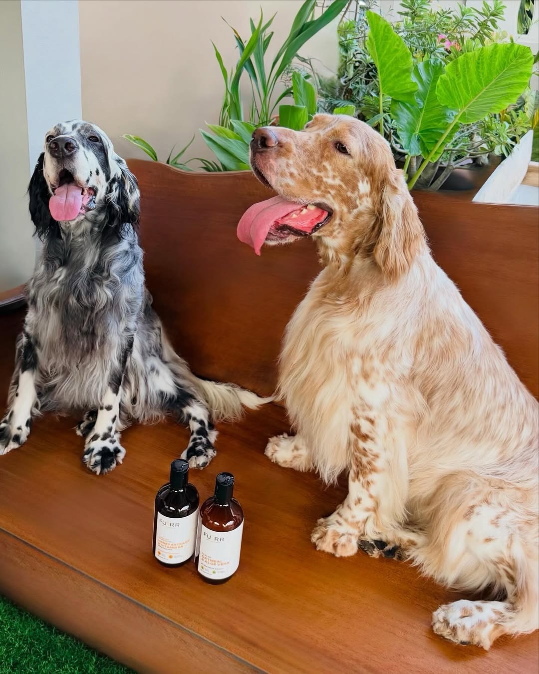 Furr petessentials Facebook ad