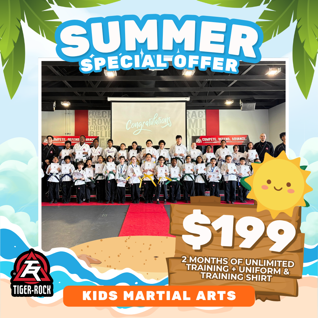 Tiger Rock Martial Arts of Katy South Facebook ad