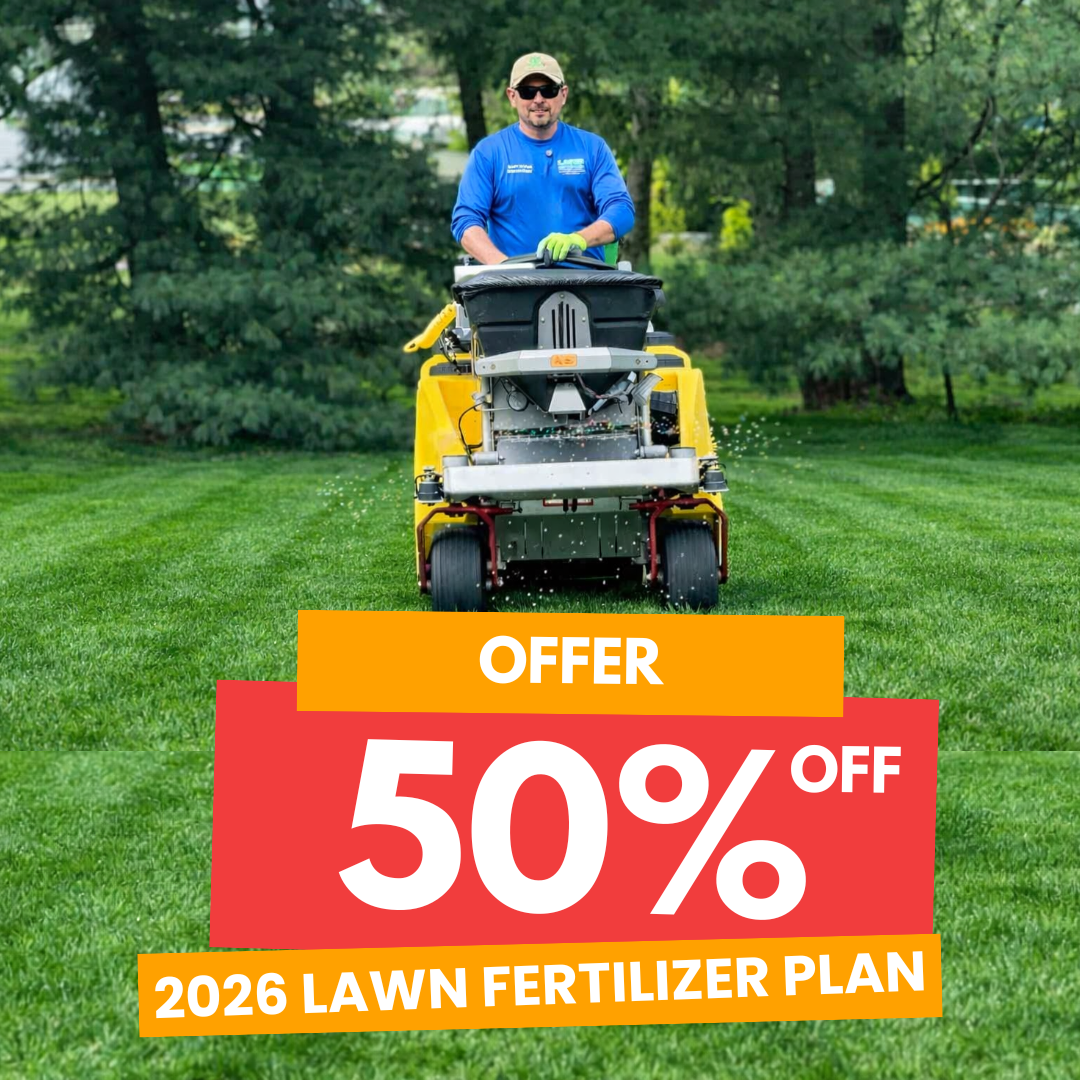 Lawn Buddies & Holiday Light Buddies Facebook ad from Mar 7, 2026