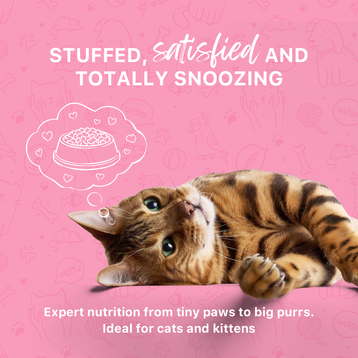 Ideal Pet Food Facebook ad