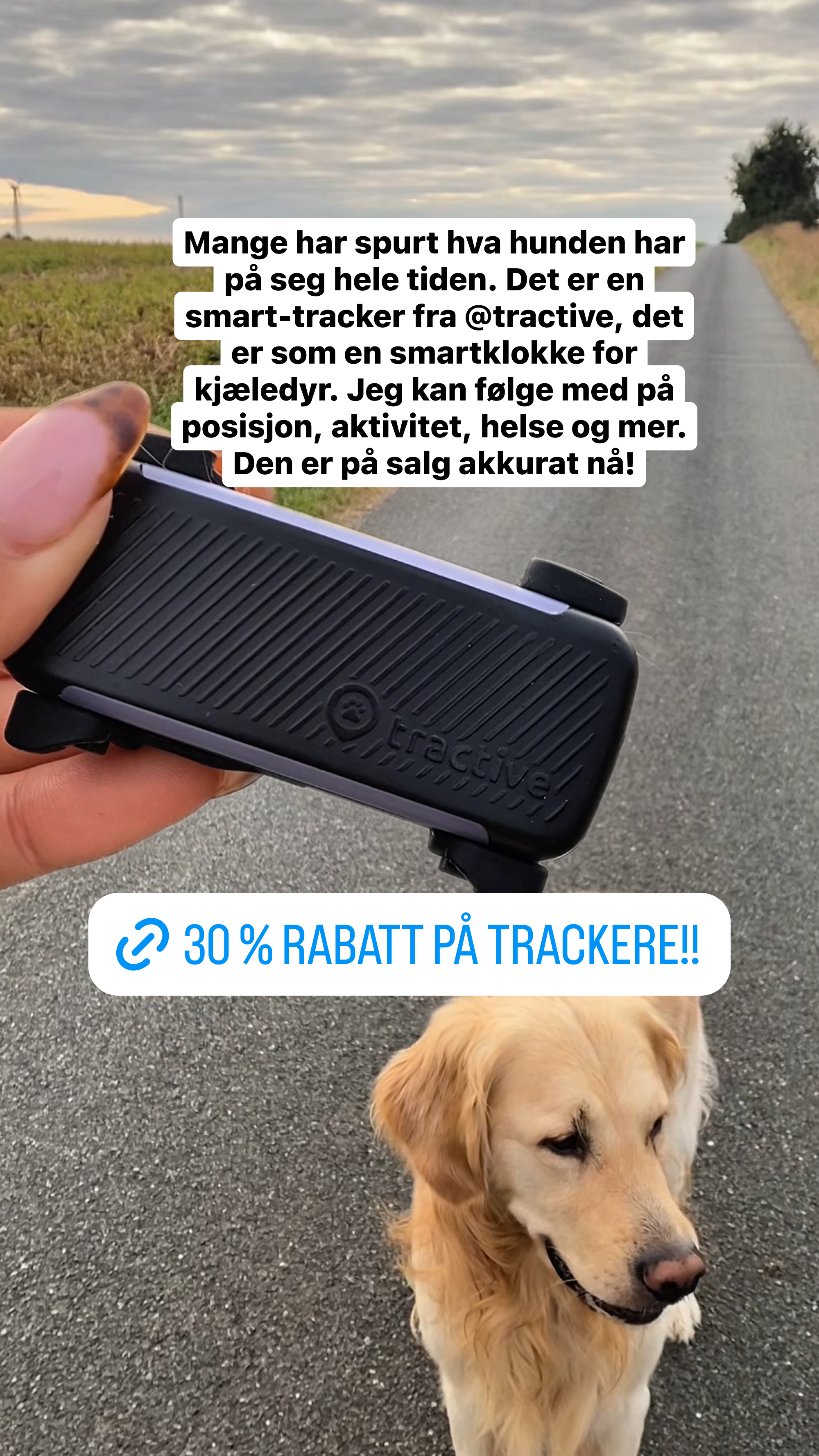 Tractive Facebook ad