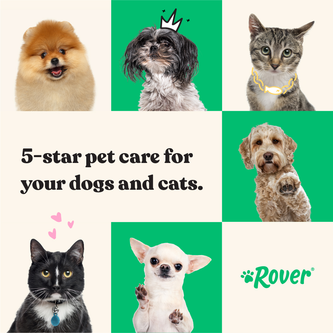 Rover.com Facebook ad