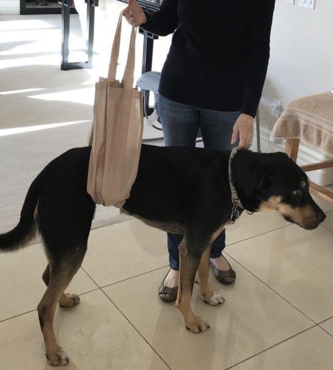 Sarah Hobson Facebook ad: Read if you're watching your dog limp and feeling helpless