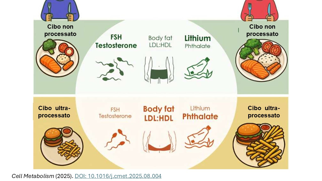 Dott.ssa Renata Alleva, Nutrizionista Facebook ad: Una dieta basata su alimenti ultra-processati e confrontata…