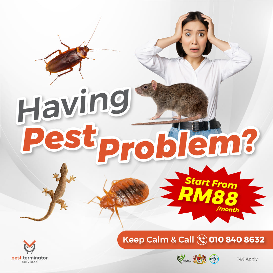 Pest Terminator Services Facebook ad: ๐ช๐ฒ ๐๐ฟ๐ฒ๐ฎ๐ ๐๐ผ๐๐ฟ ๐ต๐ผ๐บ๐ฒ ๐น๐ถ๐ธ๐ฒ ๐ผ๐๐ฟ ๐ผ๐๐ป