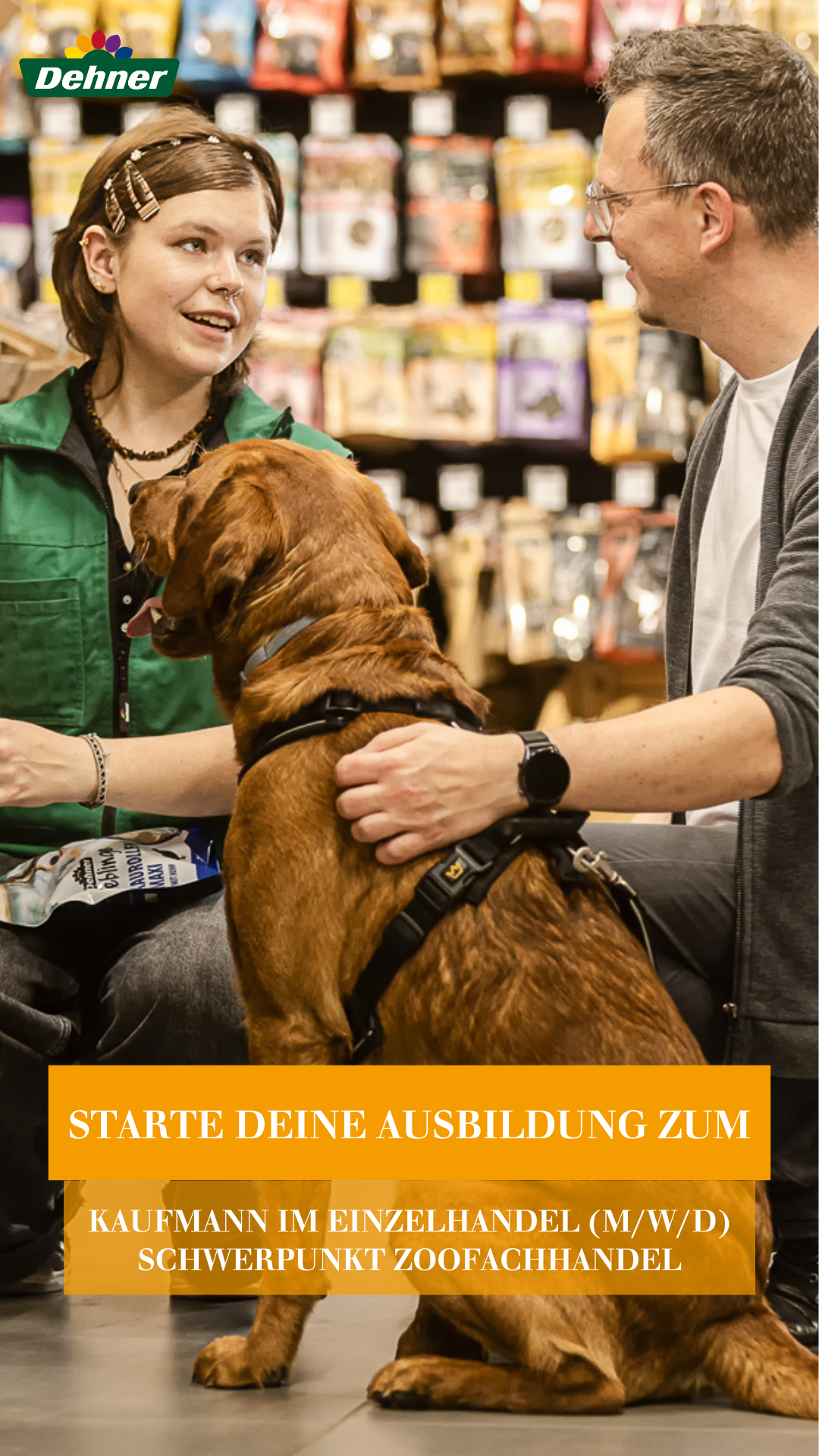 Dehner Karriere Facebook ad