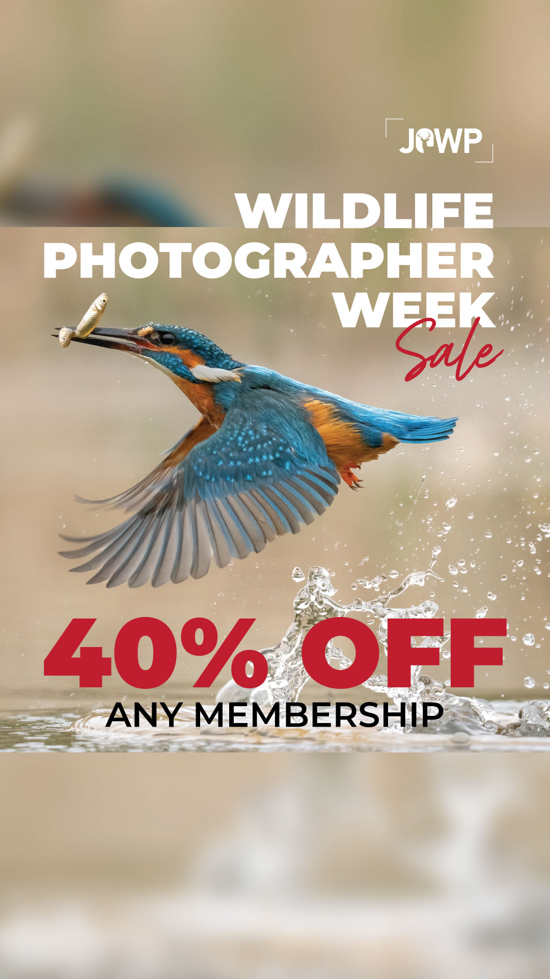 Journal of Wildlife Photography Facebook ad