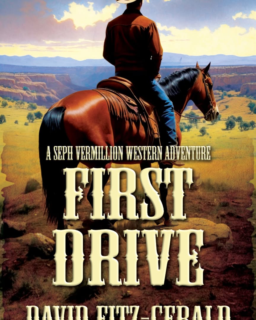 Author David Fitz-Gerald Facebook ad: FIRST DRIVE is a classic, coming of age…