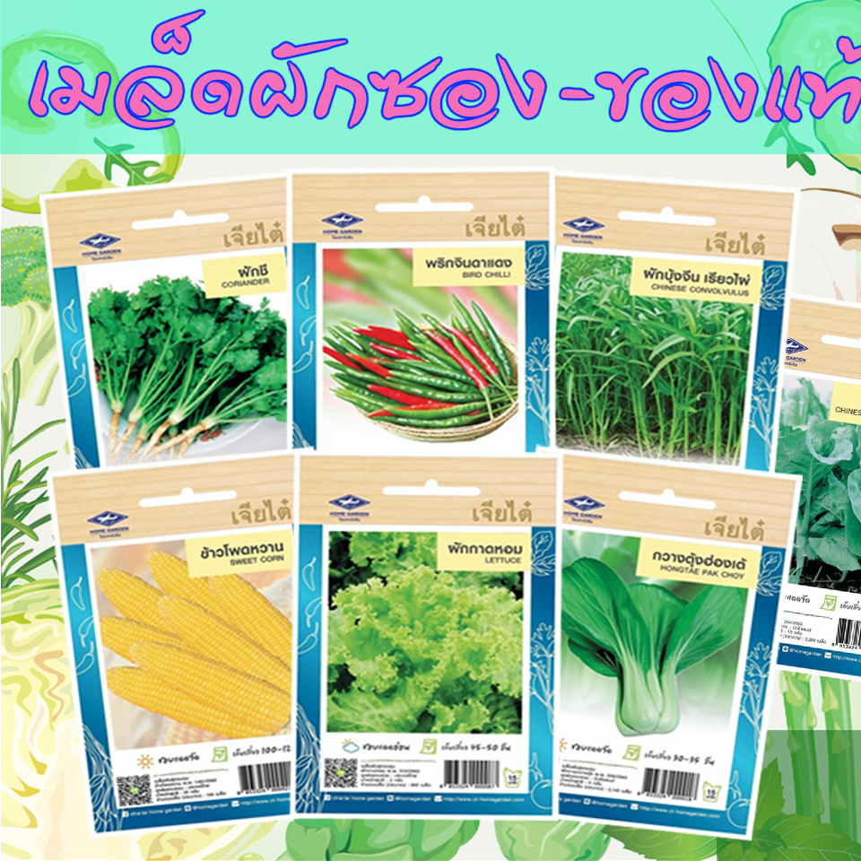 Thai-Seed เมล็ดพันธุ์ผัก Facebook ad: เมล็ดผักซอง ผักสวนครัว