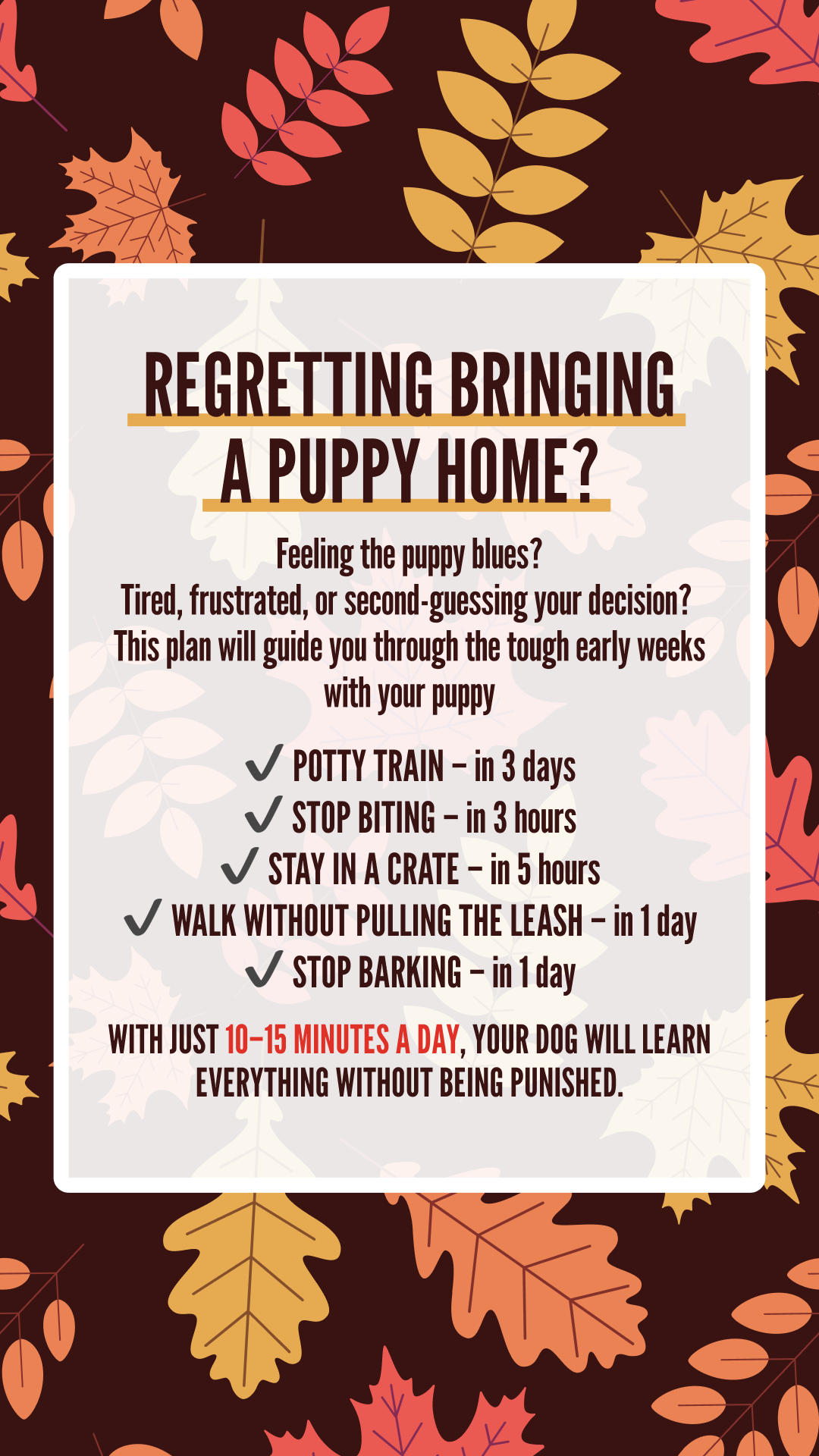Woofz - Puppy Training Facebook ad
