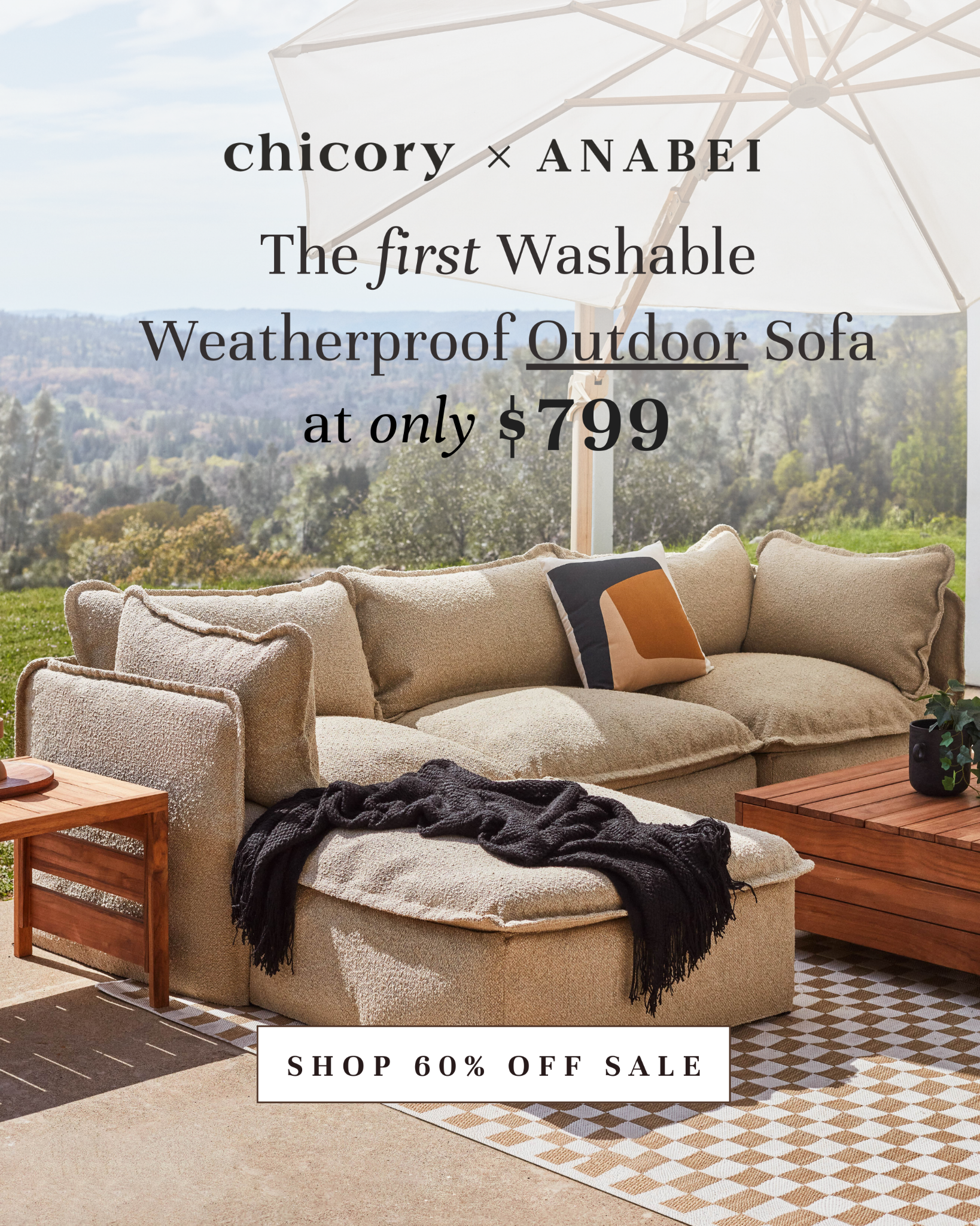 Chicory Facebook ad