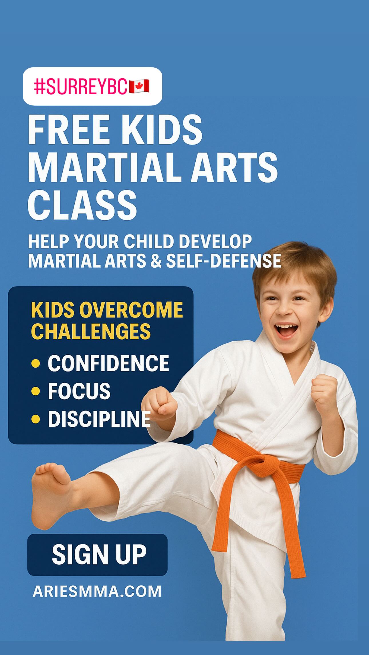 Aries Martial Arts Academy Facebook ad