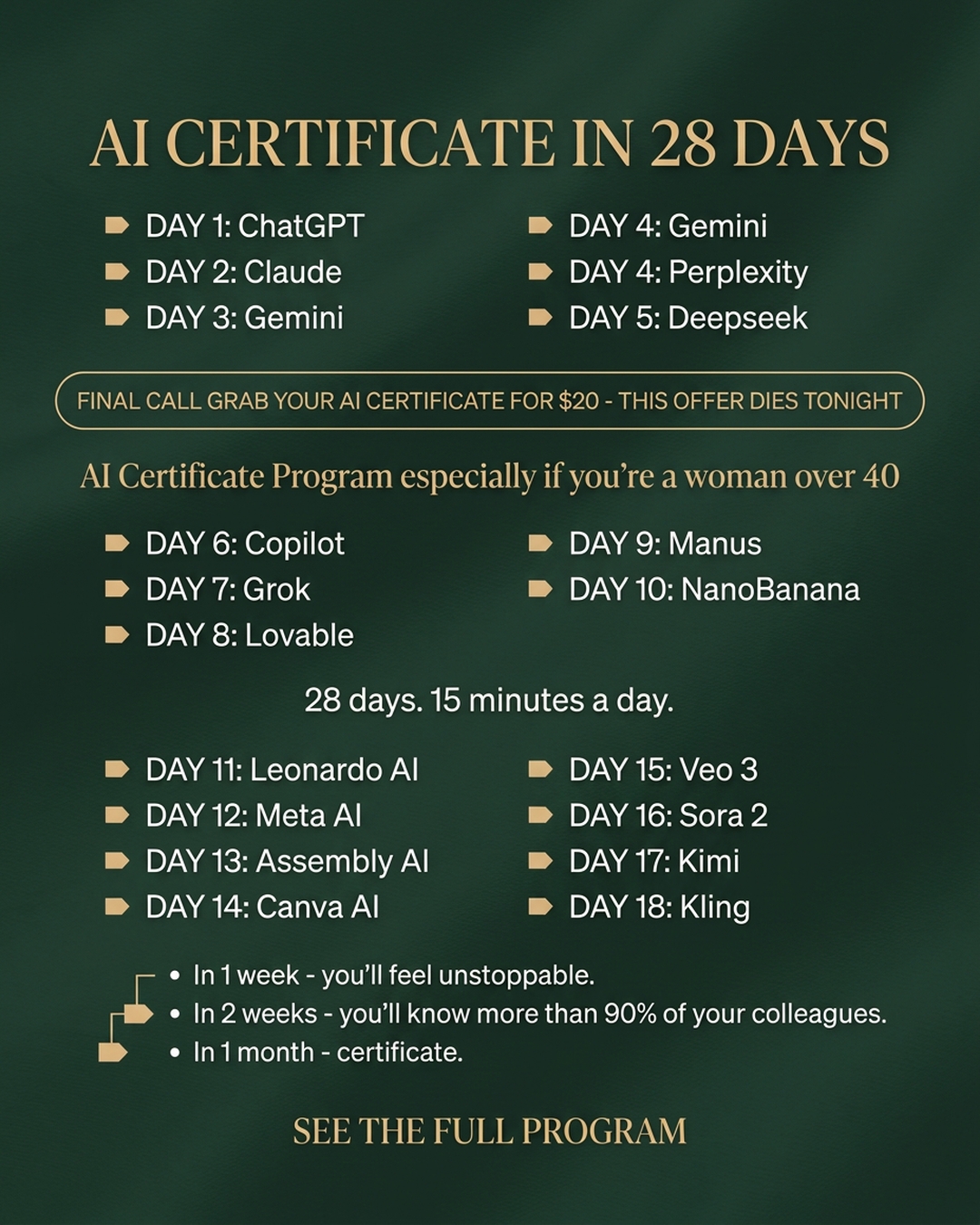 AI Essentials Facebook ad