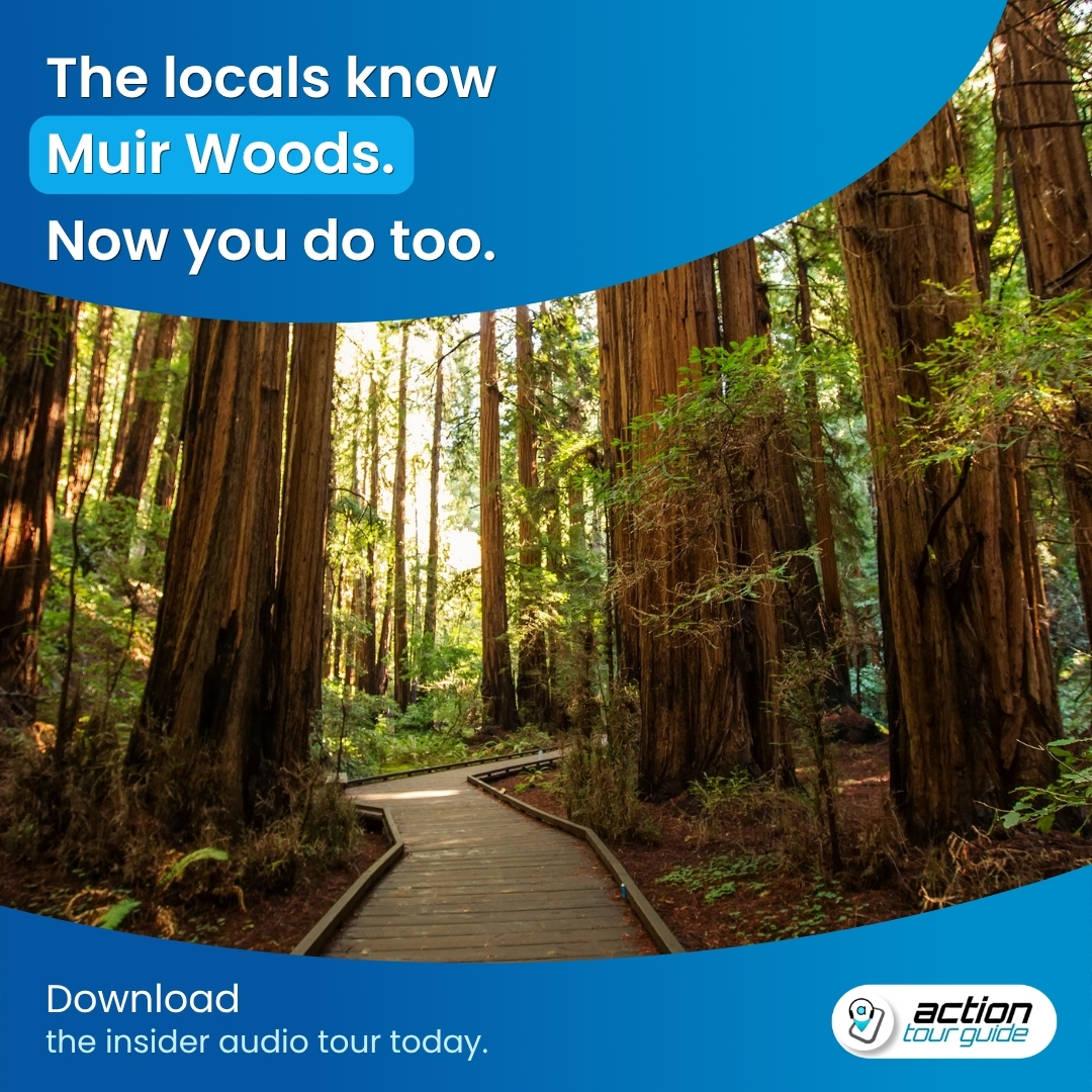 Action Tour Guide Facebook ad
