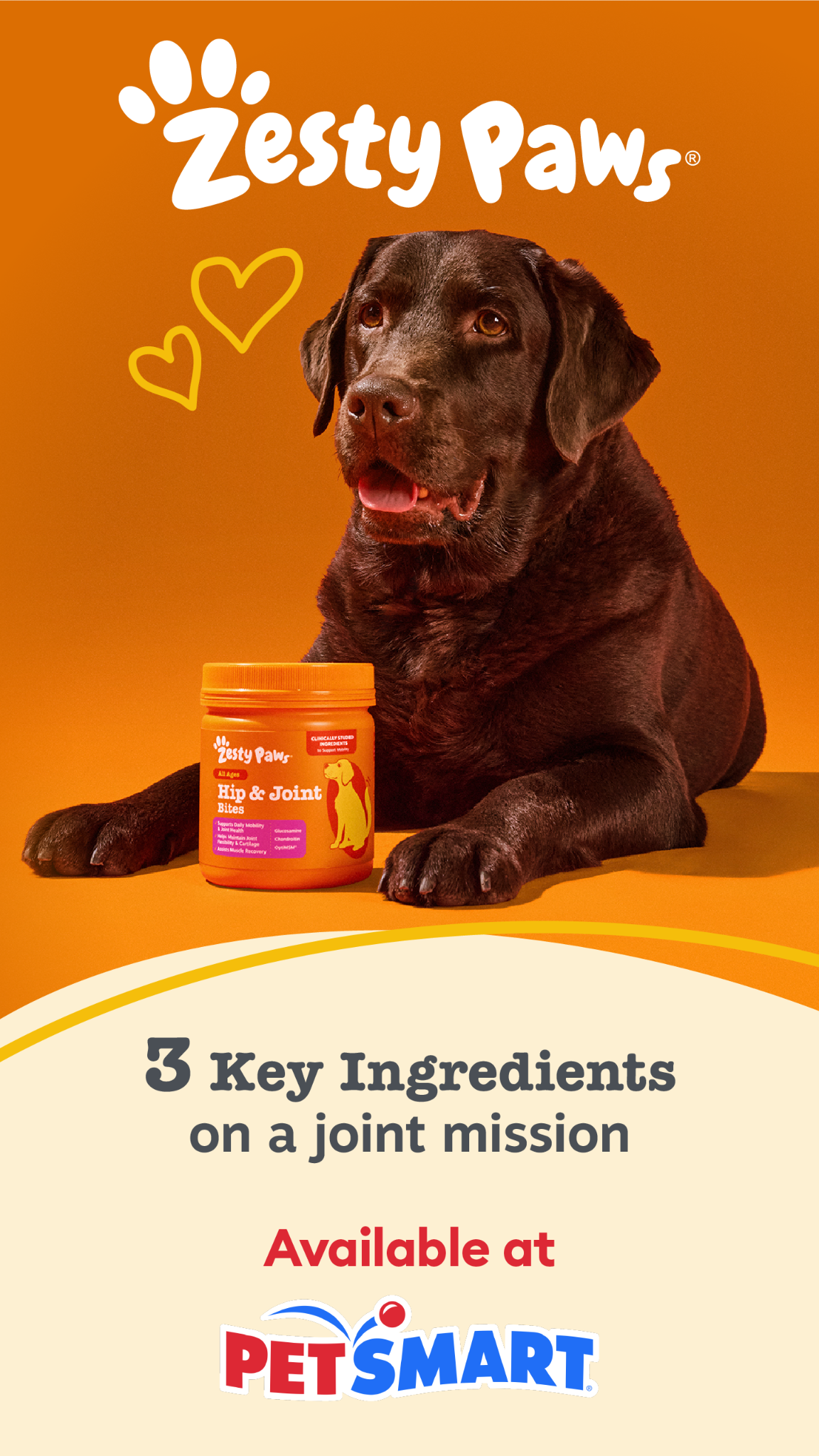 PetSmart Facebook ad from Aug 3, 2026