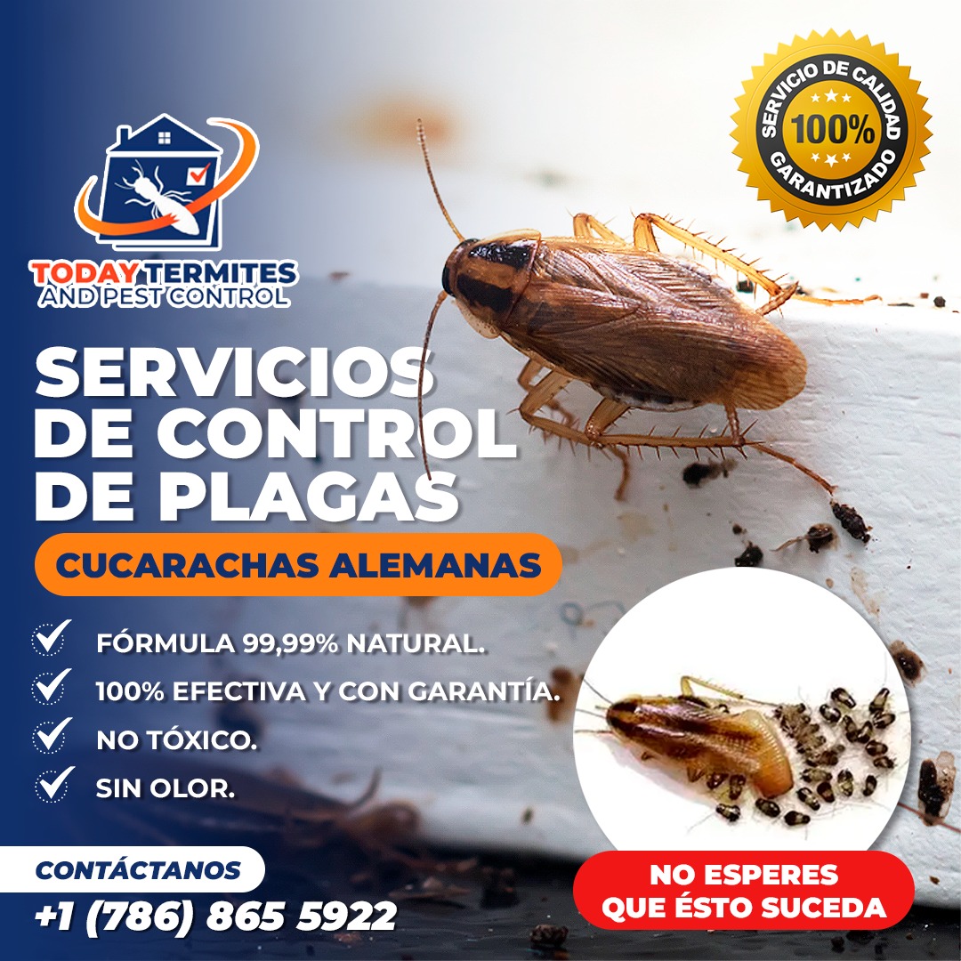Today Termites and Pest Control Facebook ad from Oct 12, 2025