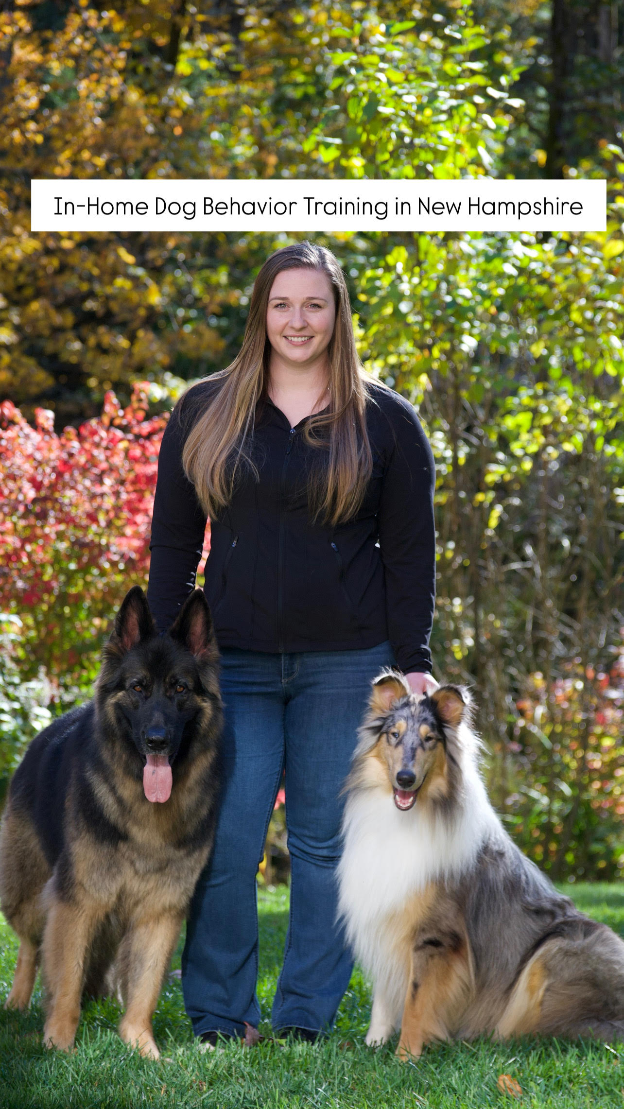 Bark Busters Home Dog Training New Hampshire Facebook ad: Contact Us Today!