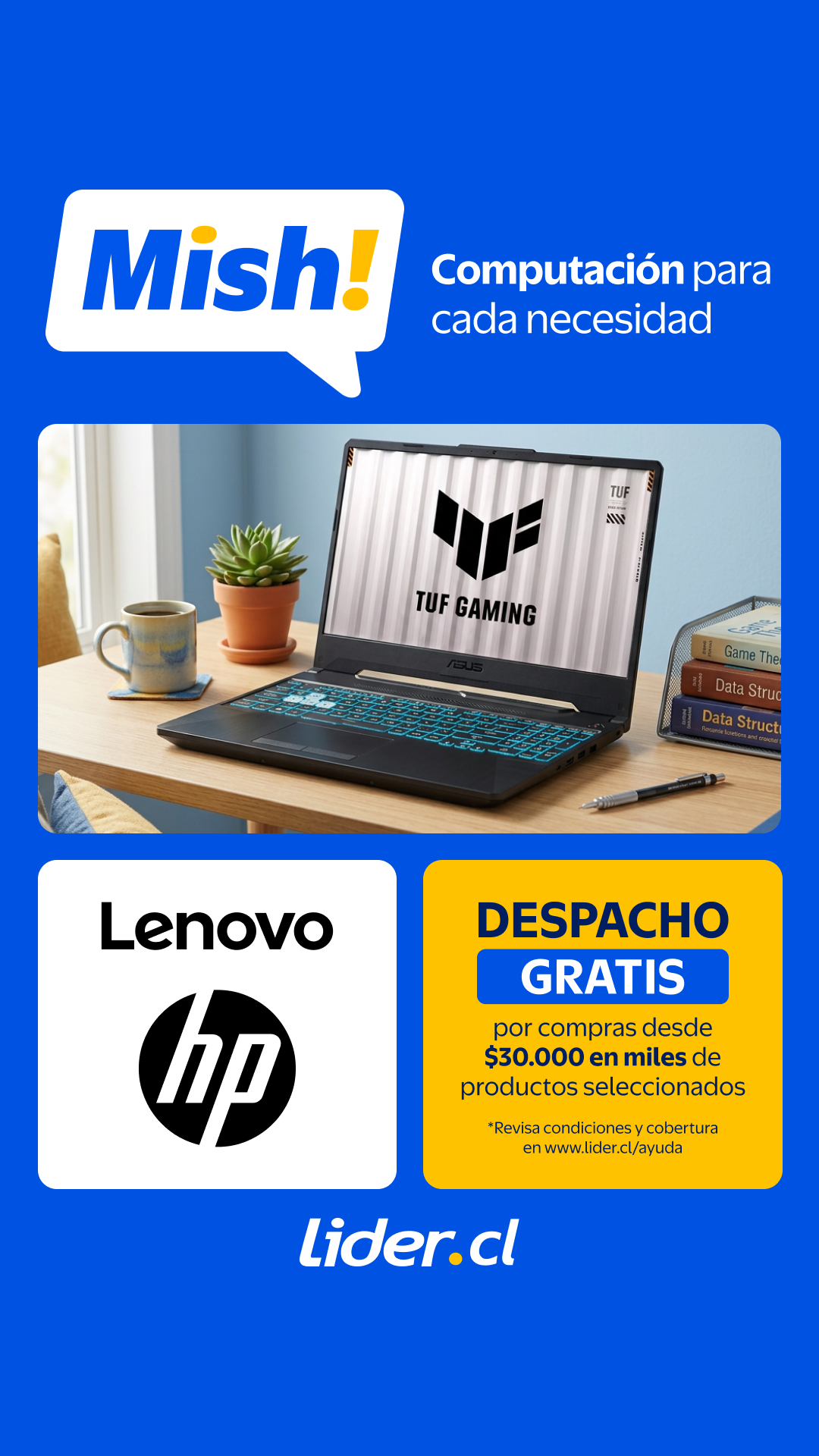 Lider Facebook ad: Comenzó Mish