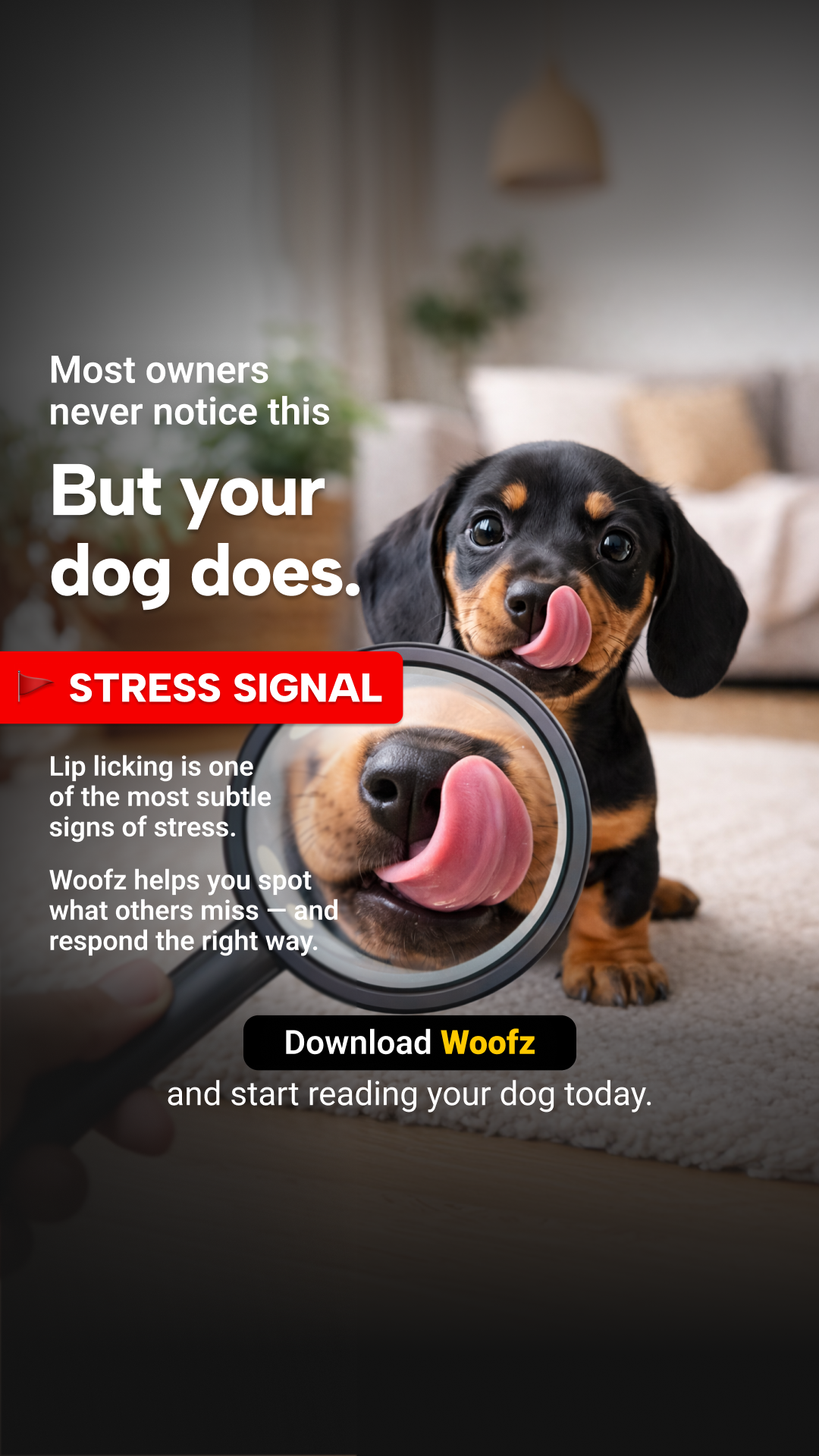 Woofz - Puppy Training Facebook ad