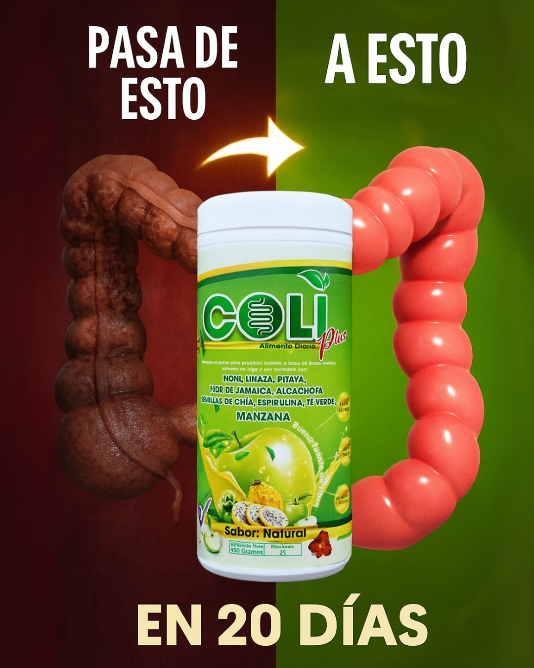 FibraColi Internacional Facebook ad from Sep 17, 2025