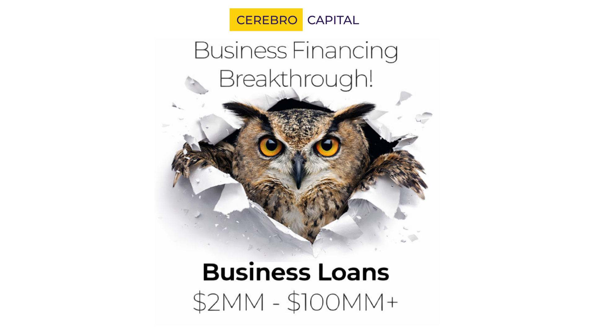Cerebro Capital Facebook ad