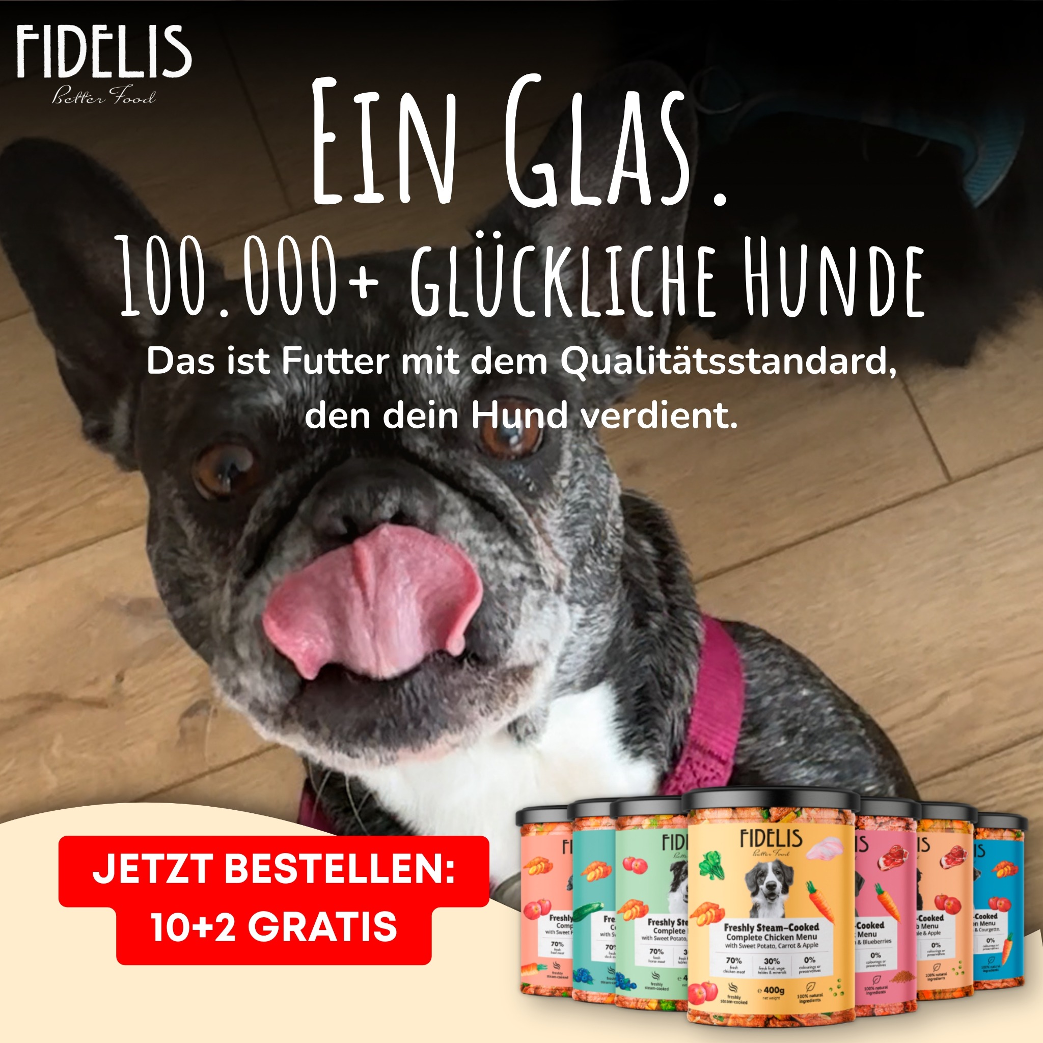 Fidelis.dog Facebook ad