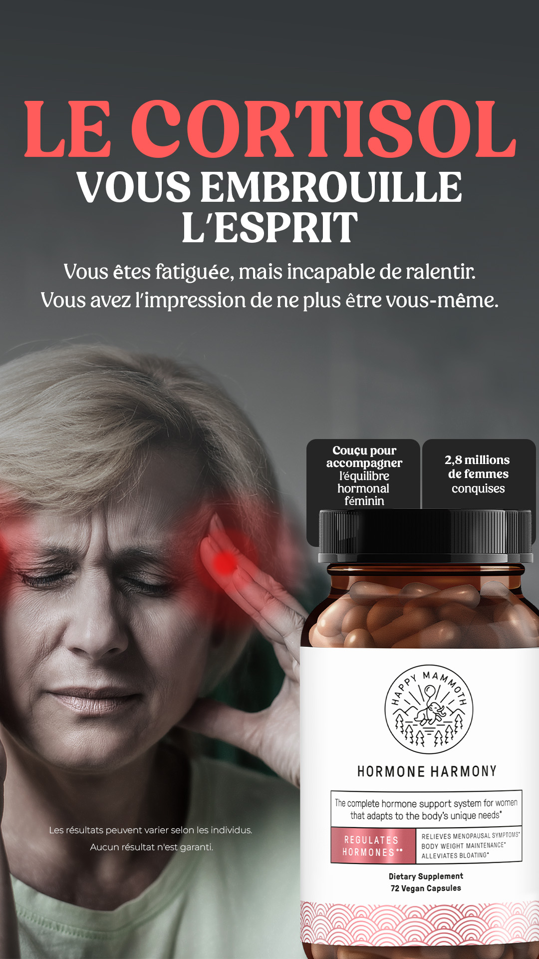 Happy Mammoth EU Facebook ad