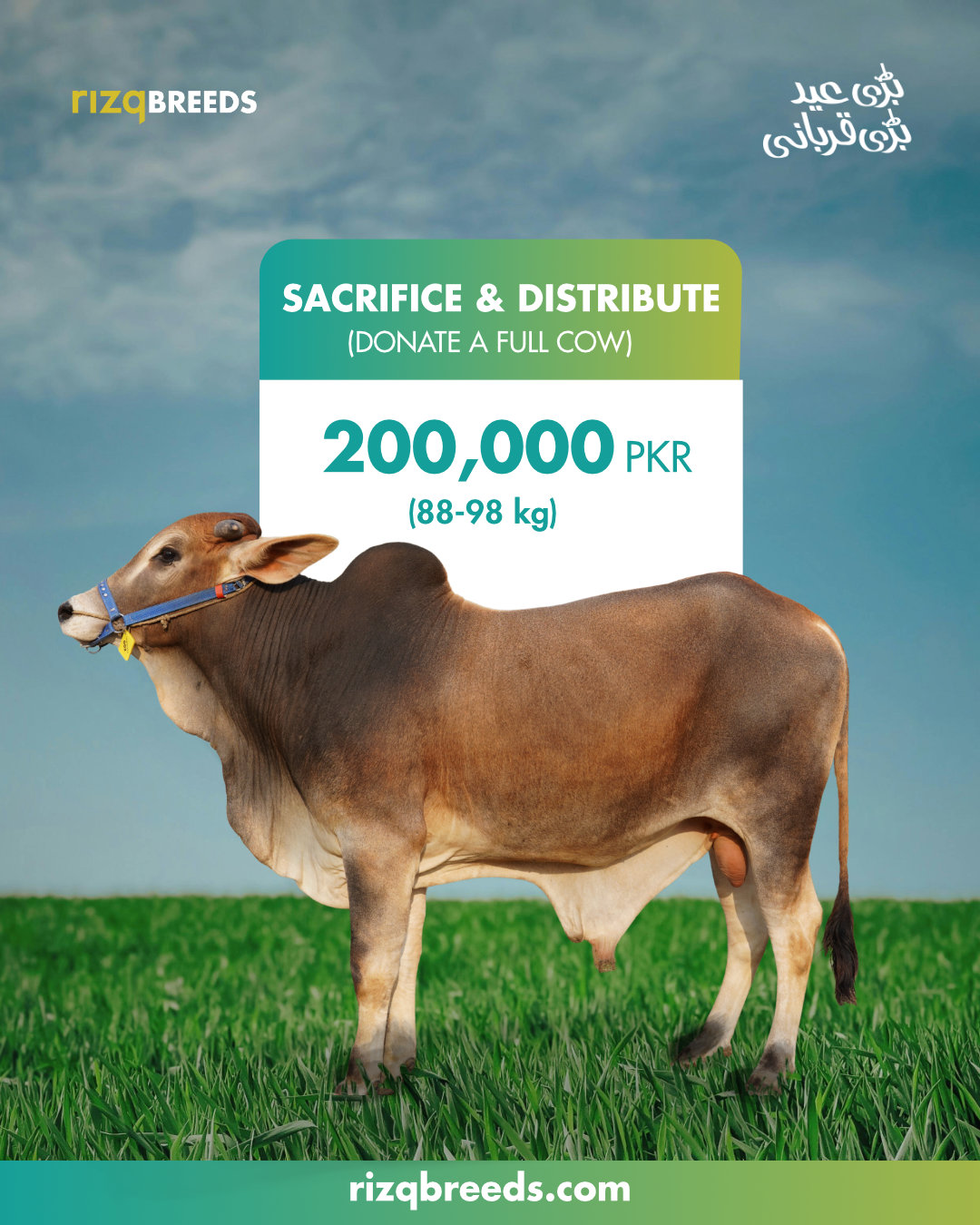 Rizq Breeds Facebook ad: Donate a full cow for PKR 200,000 and…