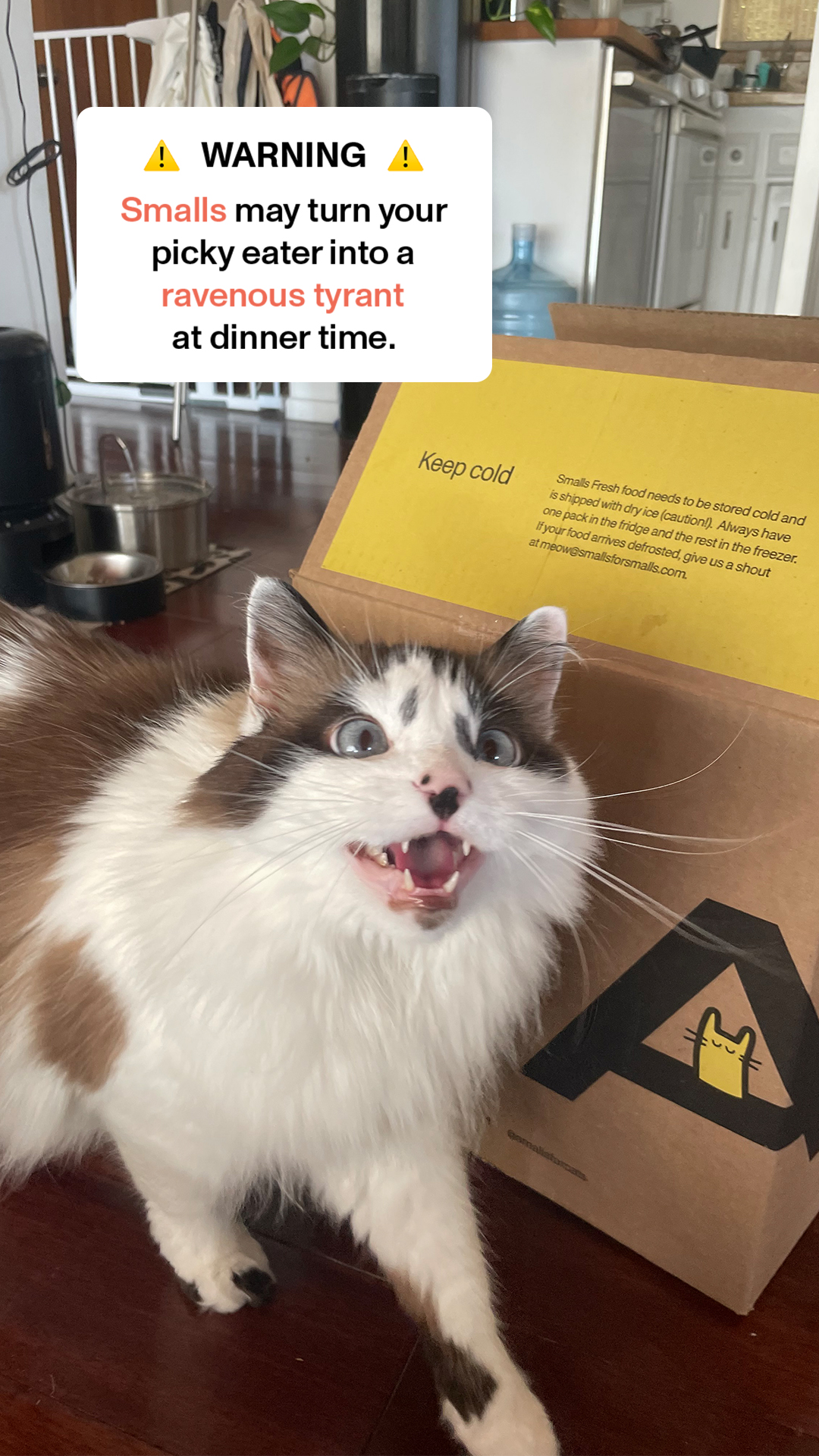 Smalls Facebook ad